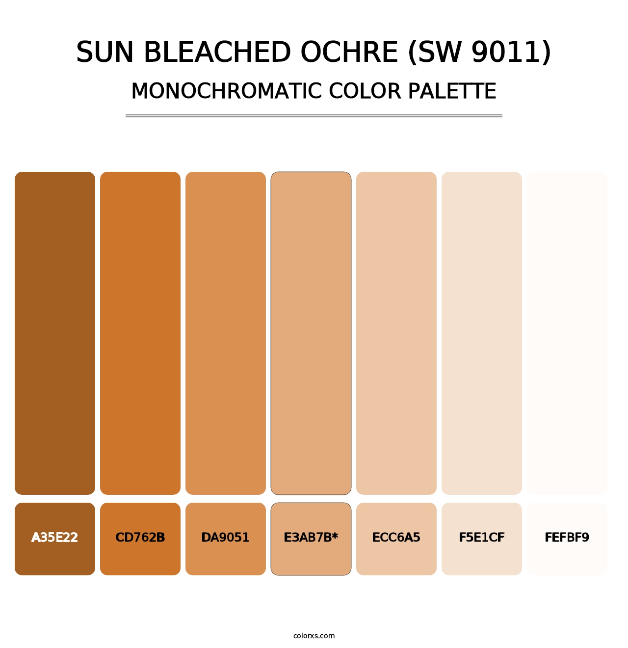 Sun Bleached Ochre (SW 9011) - Monochromatic Color Palette