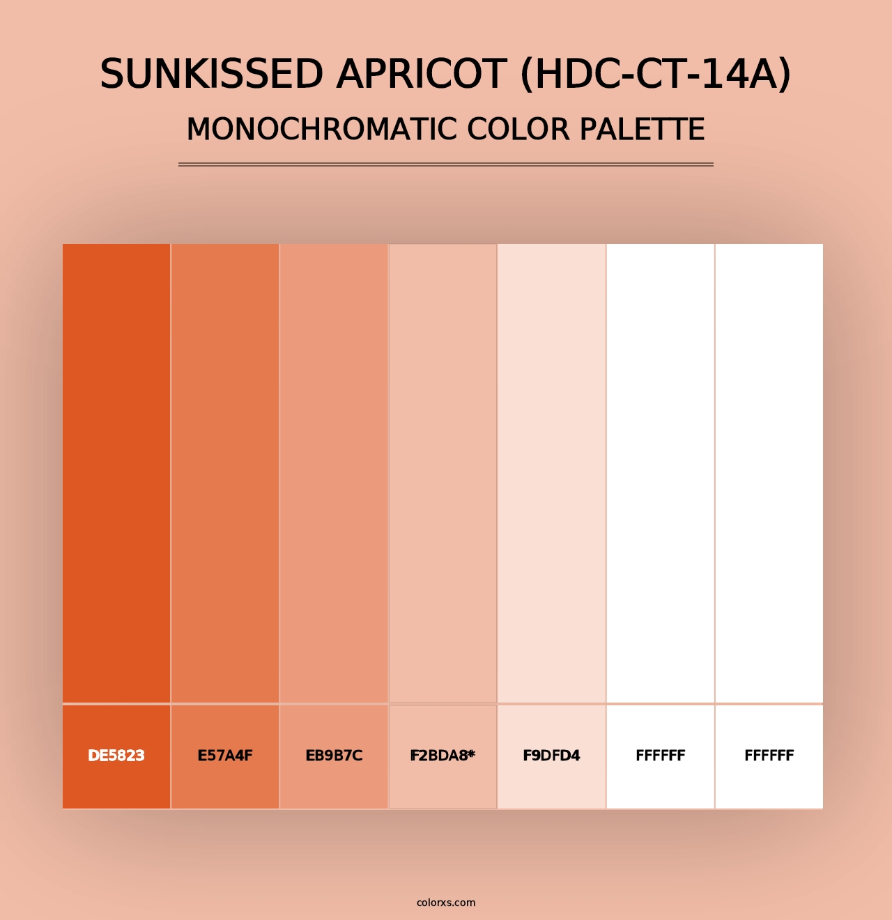 Sunkissed Apricot (HDC-CT-14A) - Monochromatic Color Palette