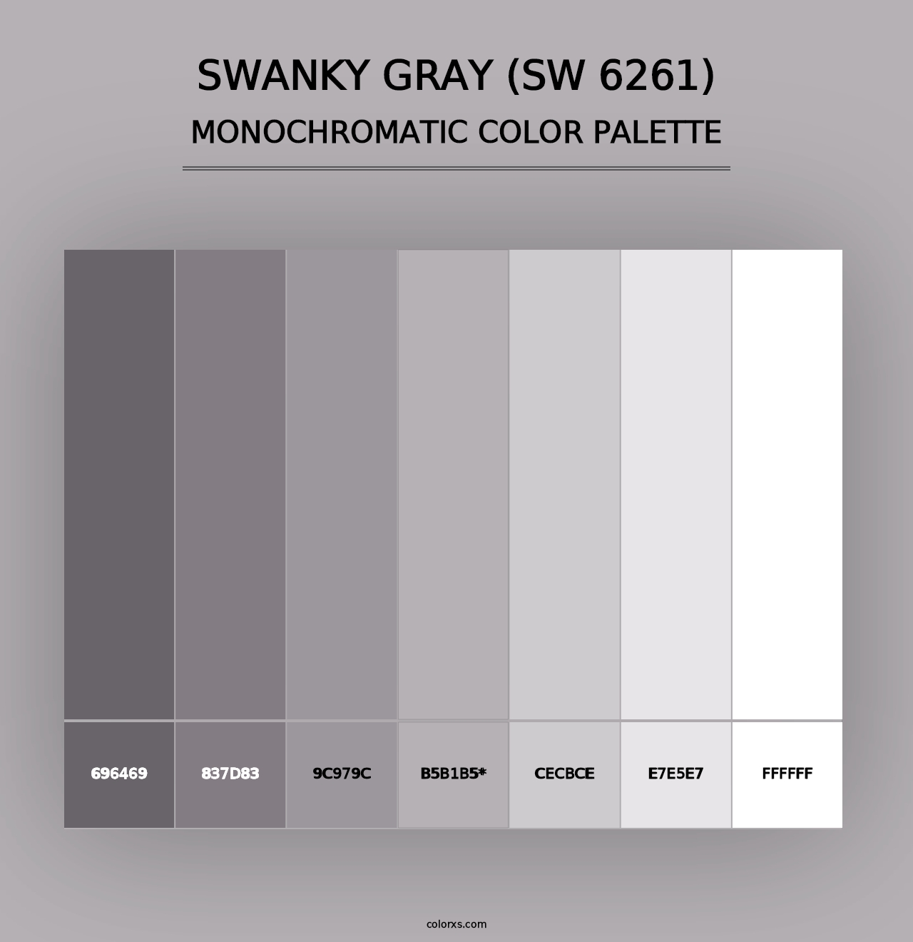 Swanky Gray (SW 6261) - Monochromatic Color Palette