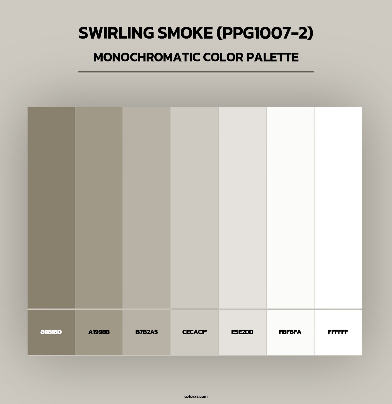 Swirling Smoke (PPG1007-2) - Monochromatic Color Palette