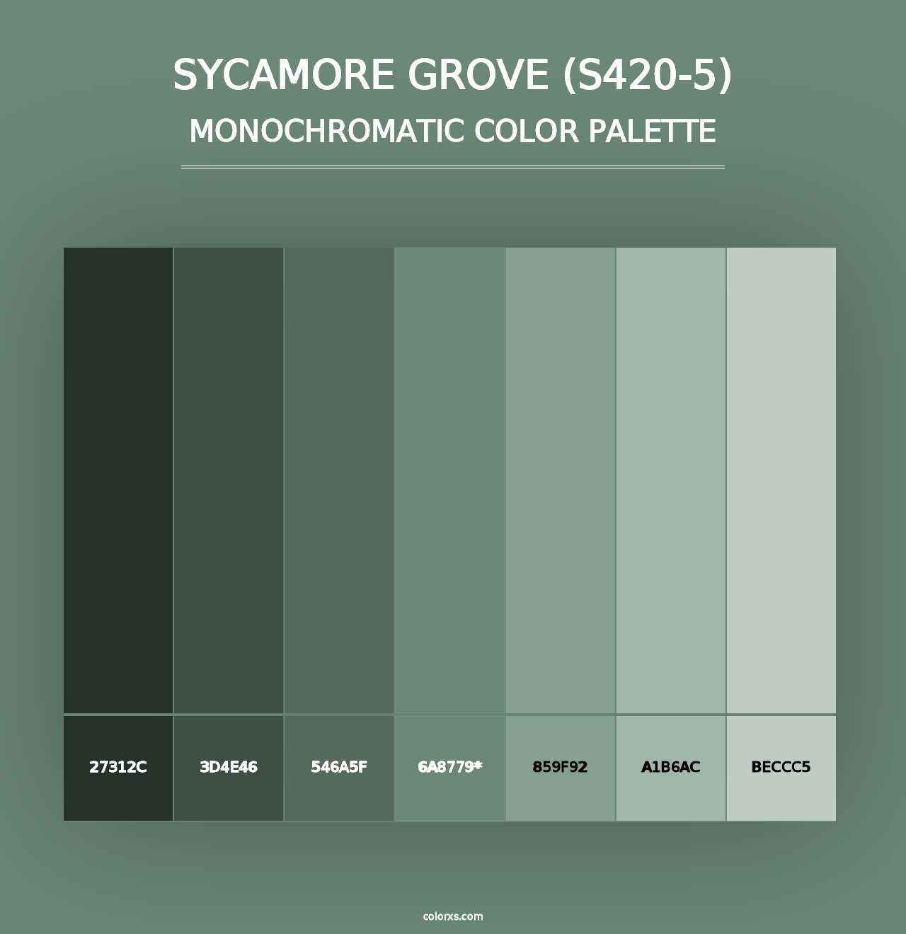 Sycamore Grove (S420-5) - Monochromatic Color Palette