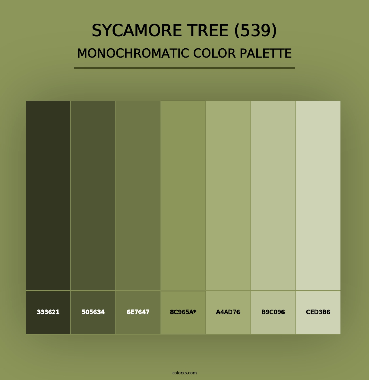 Sycamore Tree (539) - Monochromatic Color Palette