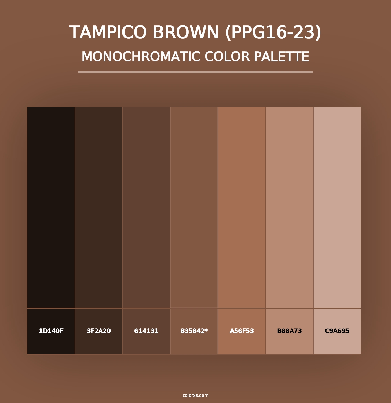 Tampico Brown (PPG16-23) - Monochromatic Color Palette