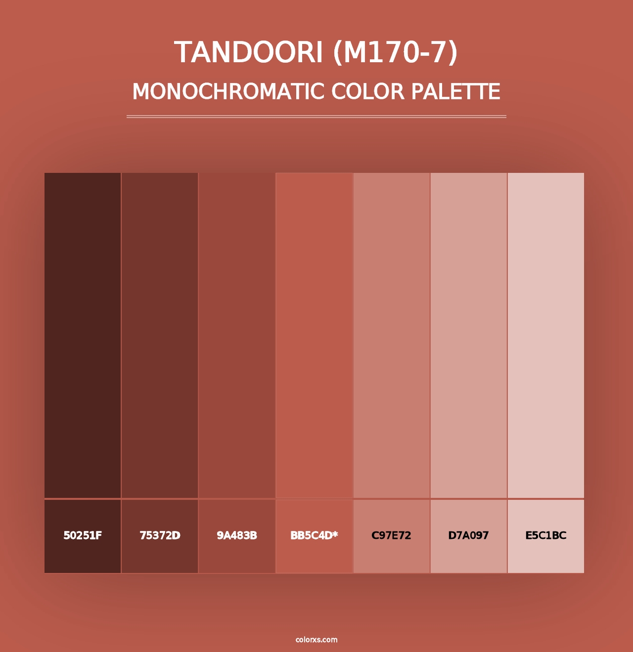 Tandoori (M170-7) - Monochromatic Color Palette