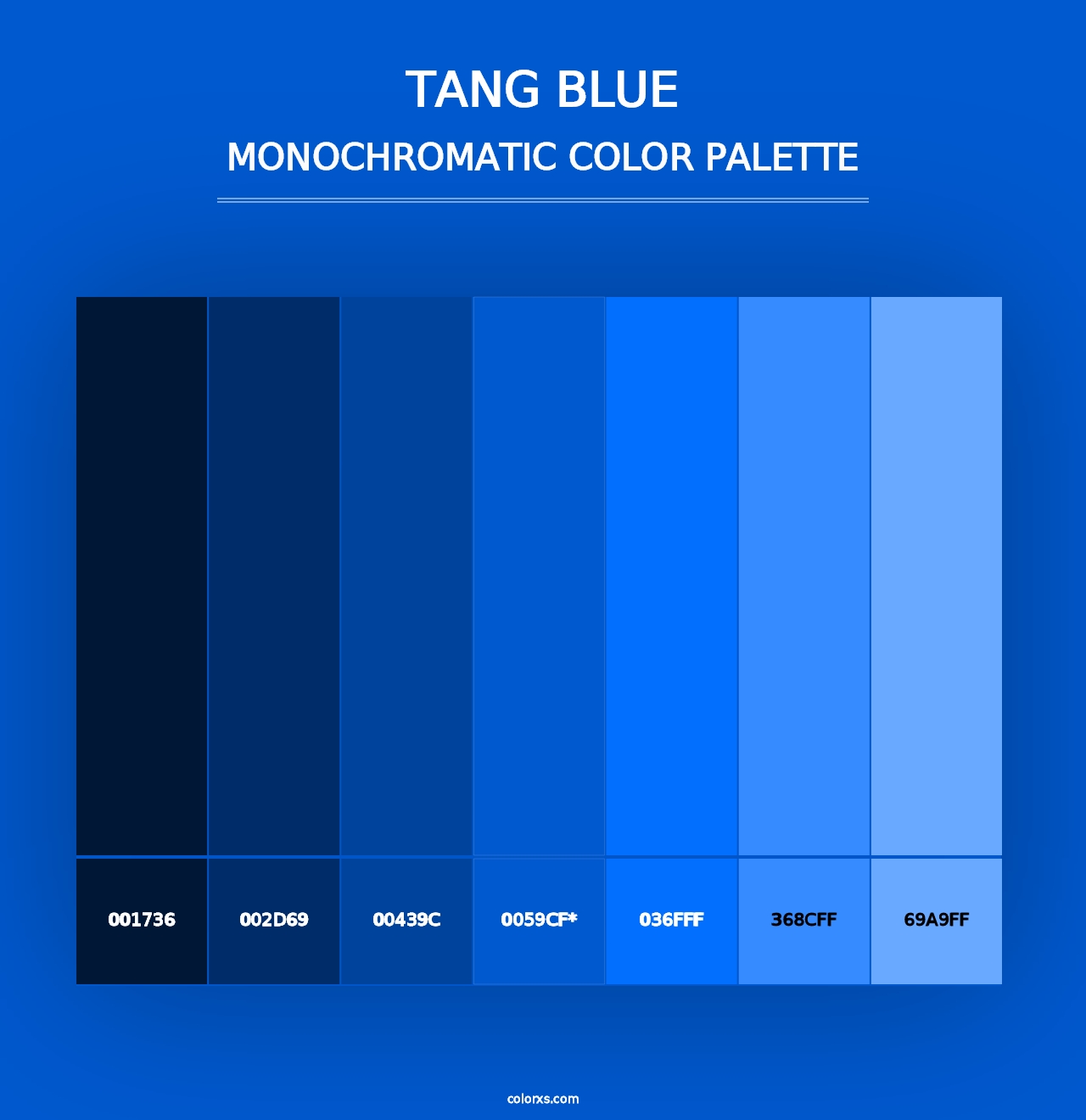 Tang Blue - Monochromatic Color Palette