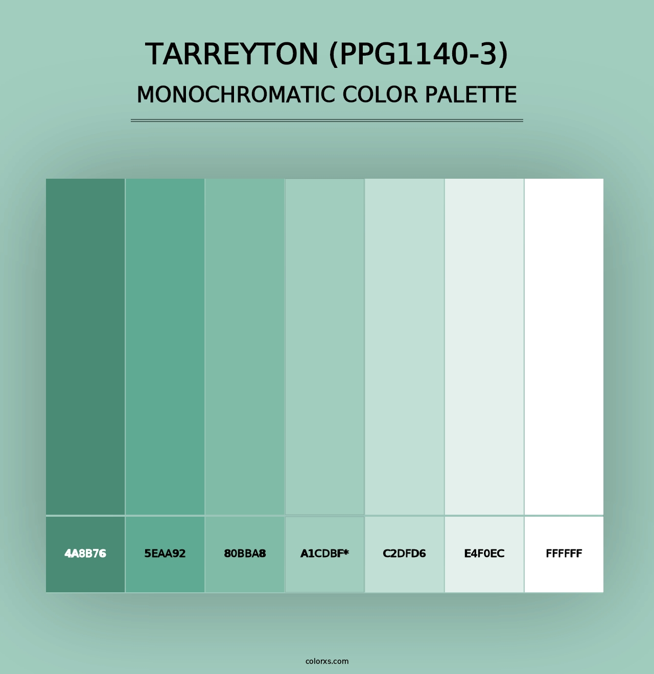 Tarreyton (PPG1140-3) - Monochromatic Color Palette