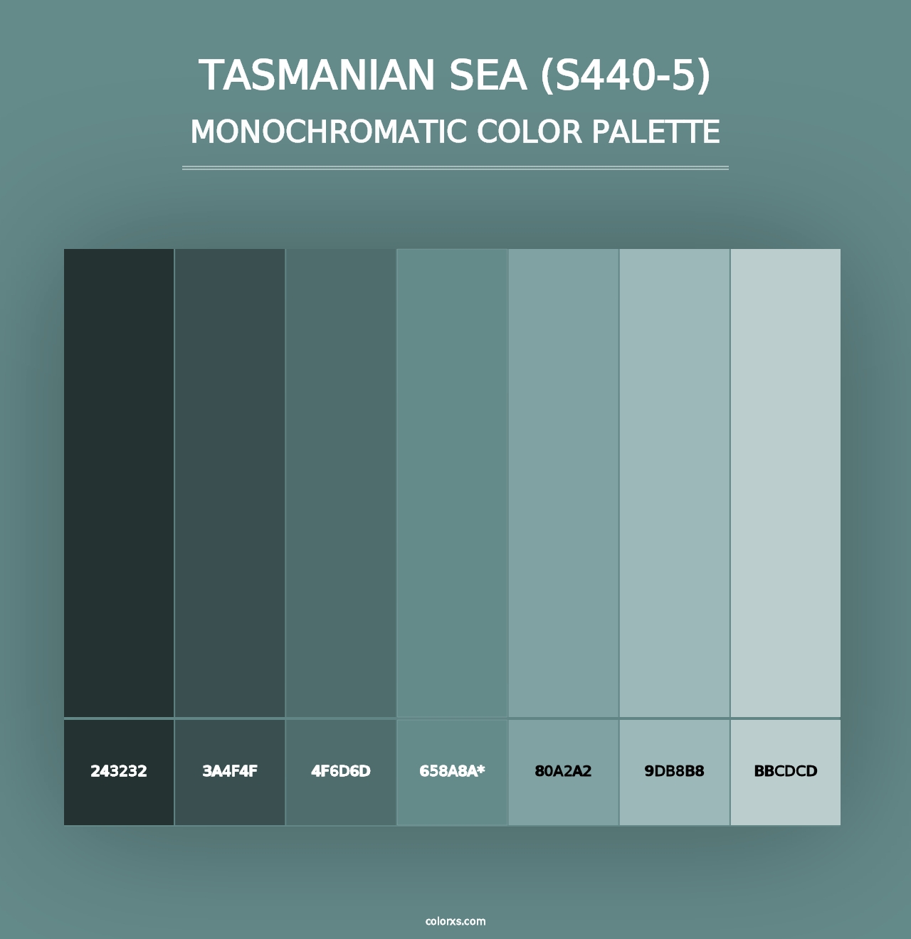 Tasmanian Sea (S440-5) - Monochromatic Color Palette