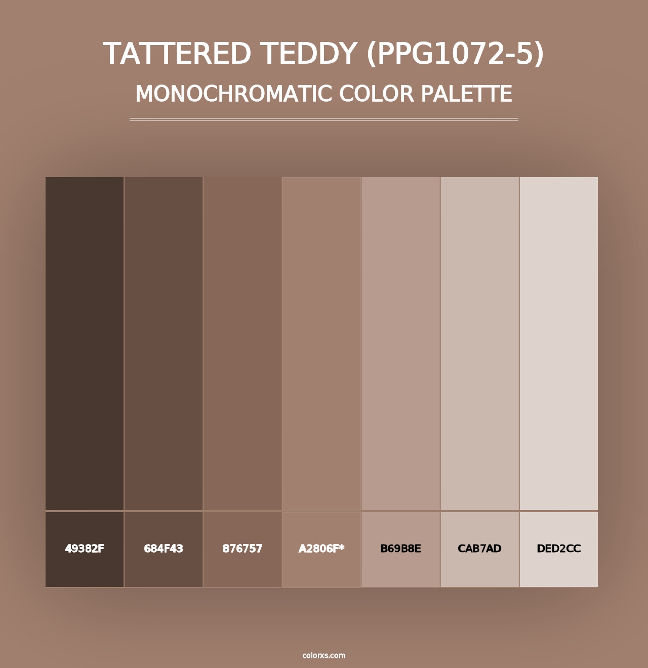 Tattered Teddy (PPG1072-5) - Monochromatic Color Palette