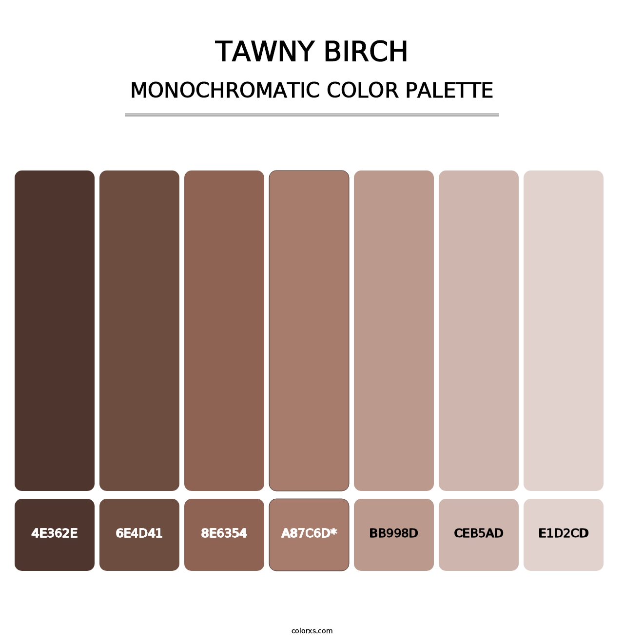 Tawny Birch - Monochromatic Color Palette