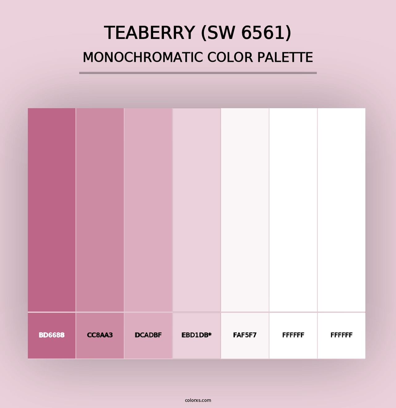 Teaberry (SW 6561) - Monochromatic Color Palette