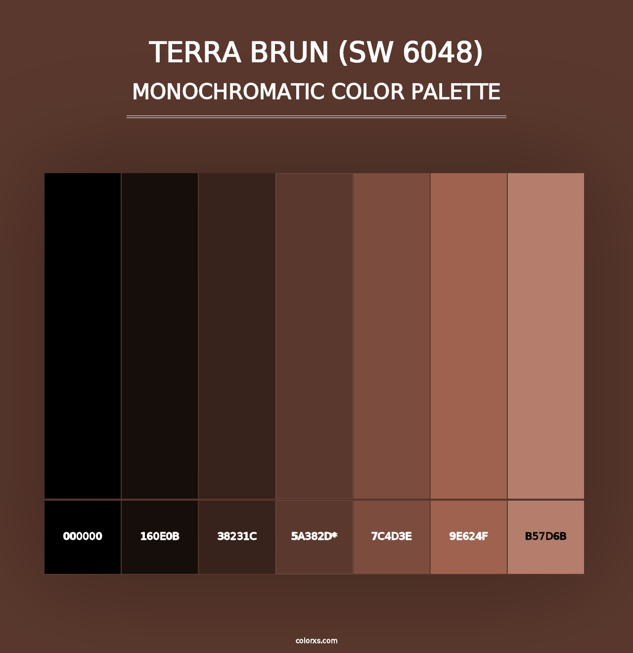 Terra Brun (SW 6048) - Monochromatic Color Palette