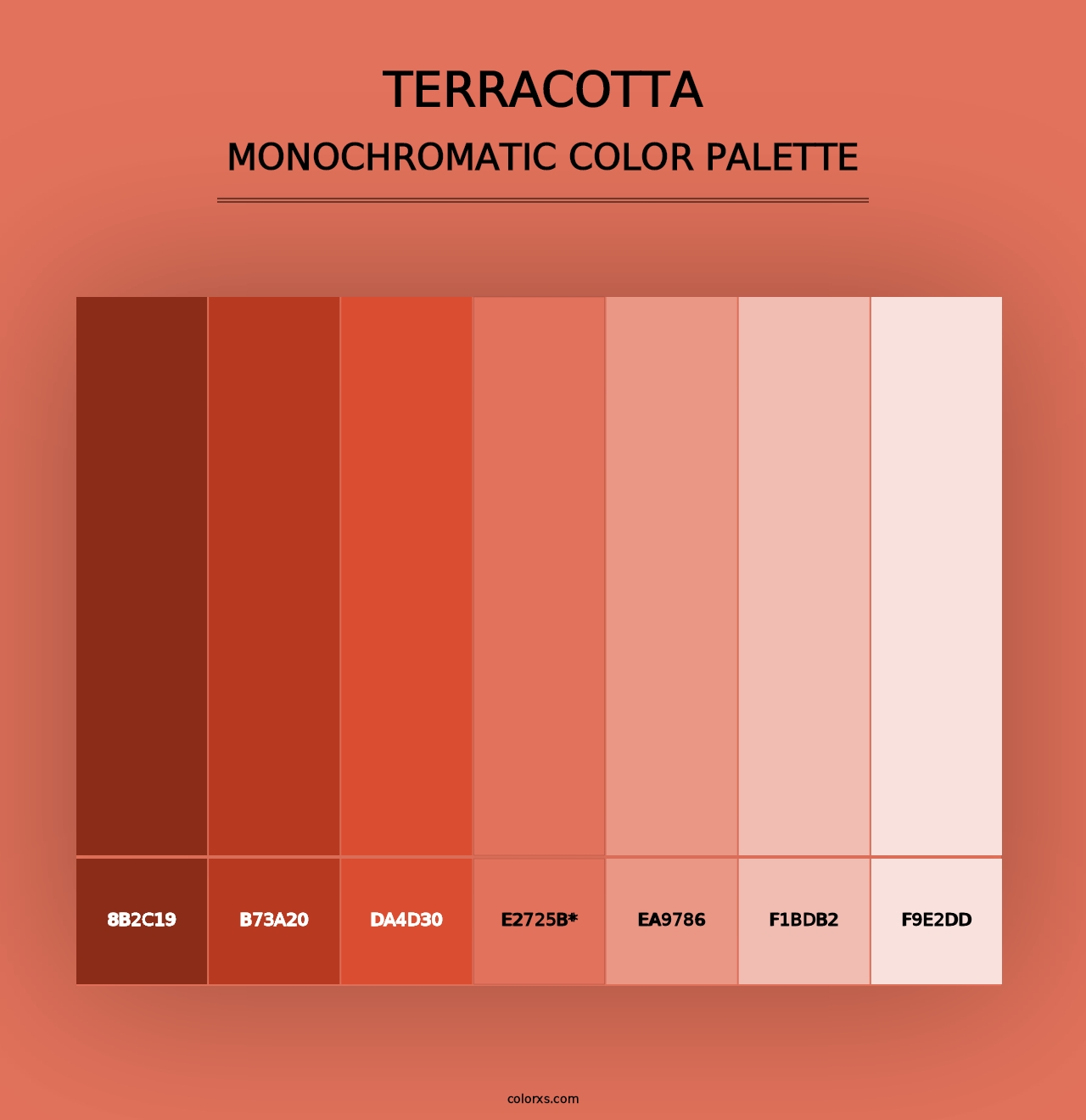 Terracotta - Monochromatic Color Palette