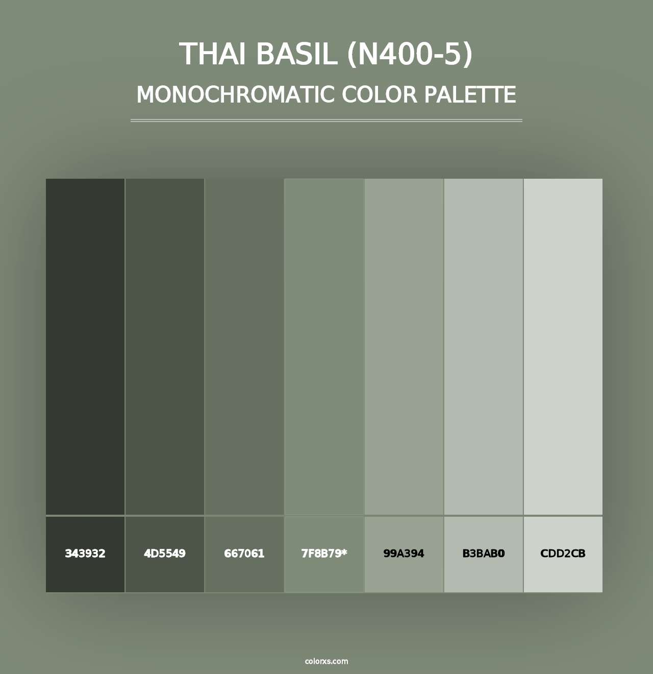 Thai Basil (N400-5) - Monochromatic Color Palette