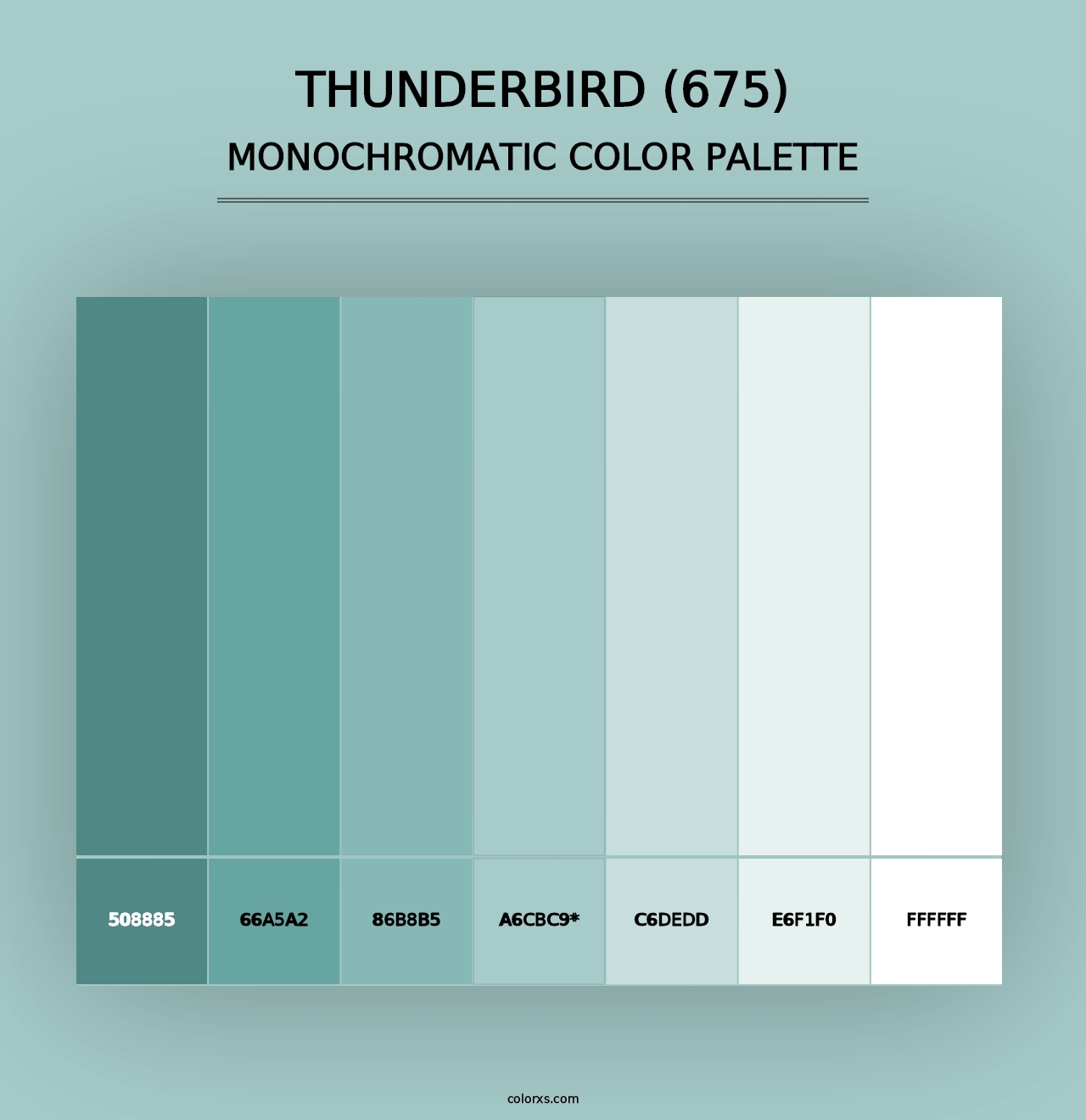 Thunderbird (675) - Monochromatic Color Palette