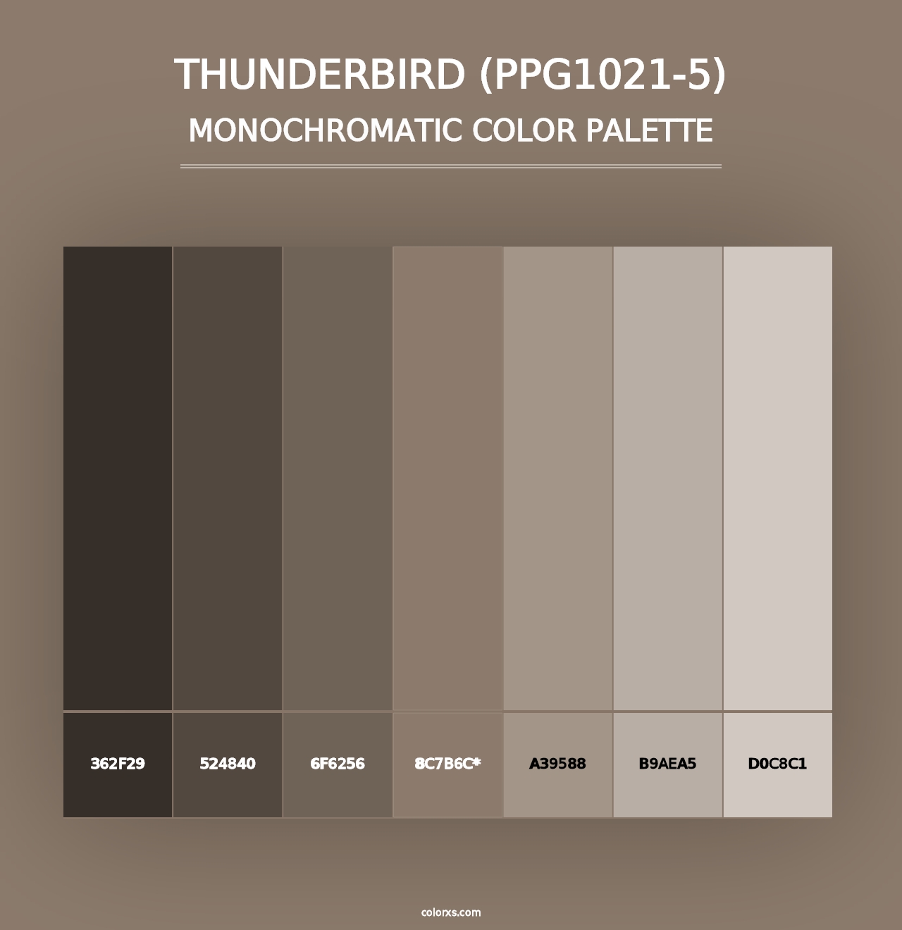 Thunderbird (PPG1021-5) - Monochromatic Color Palette