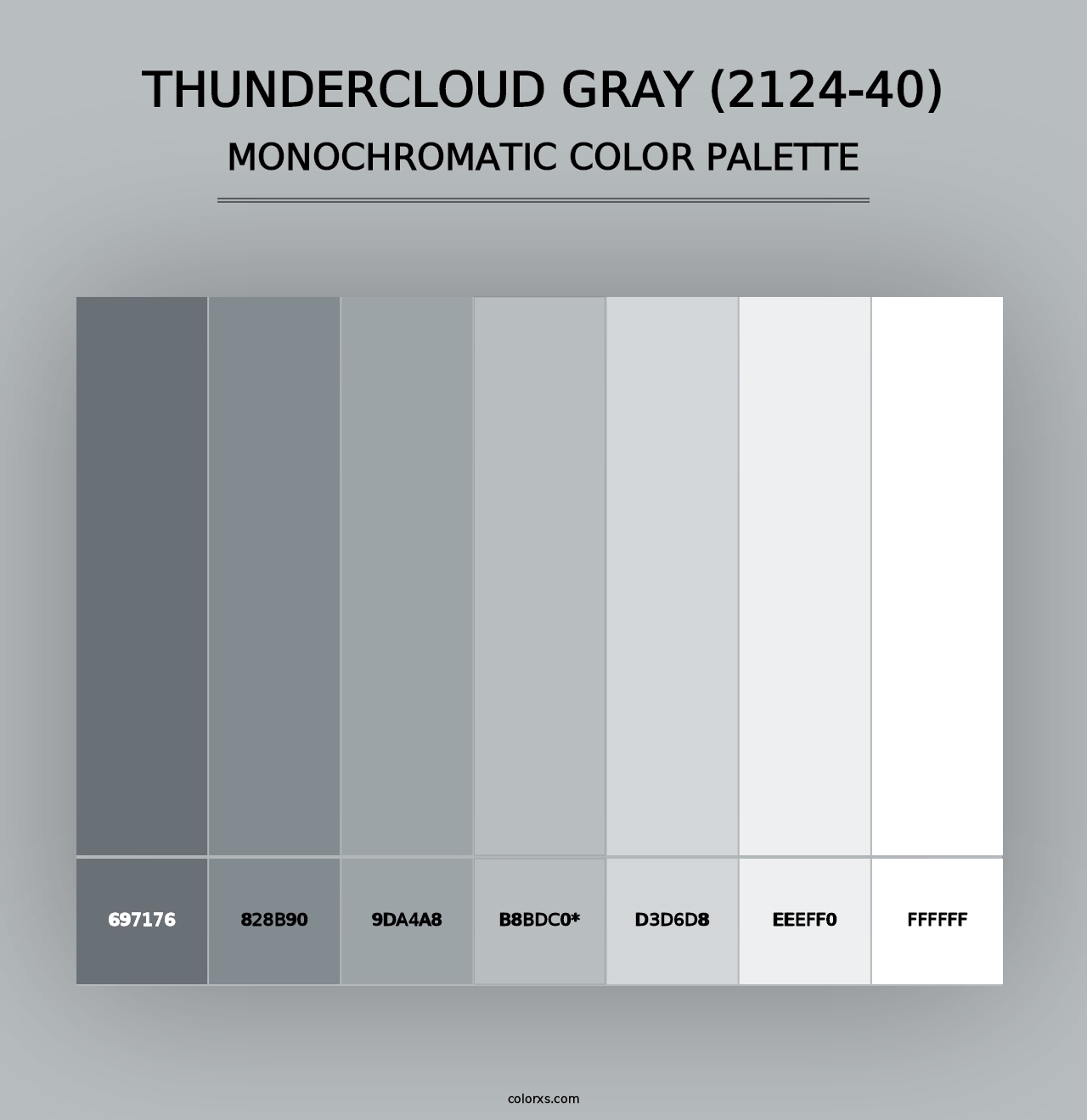 Thundercloud Gray (2124-40) - Monochromatic Color Palette