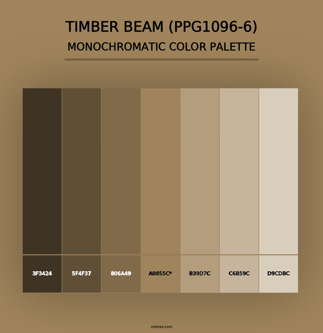 Timber Beam (PPG1096-6) - Monochromatic Color Palette