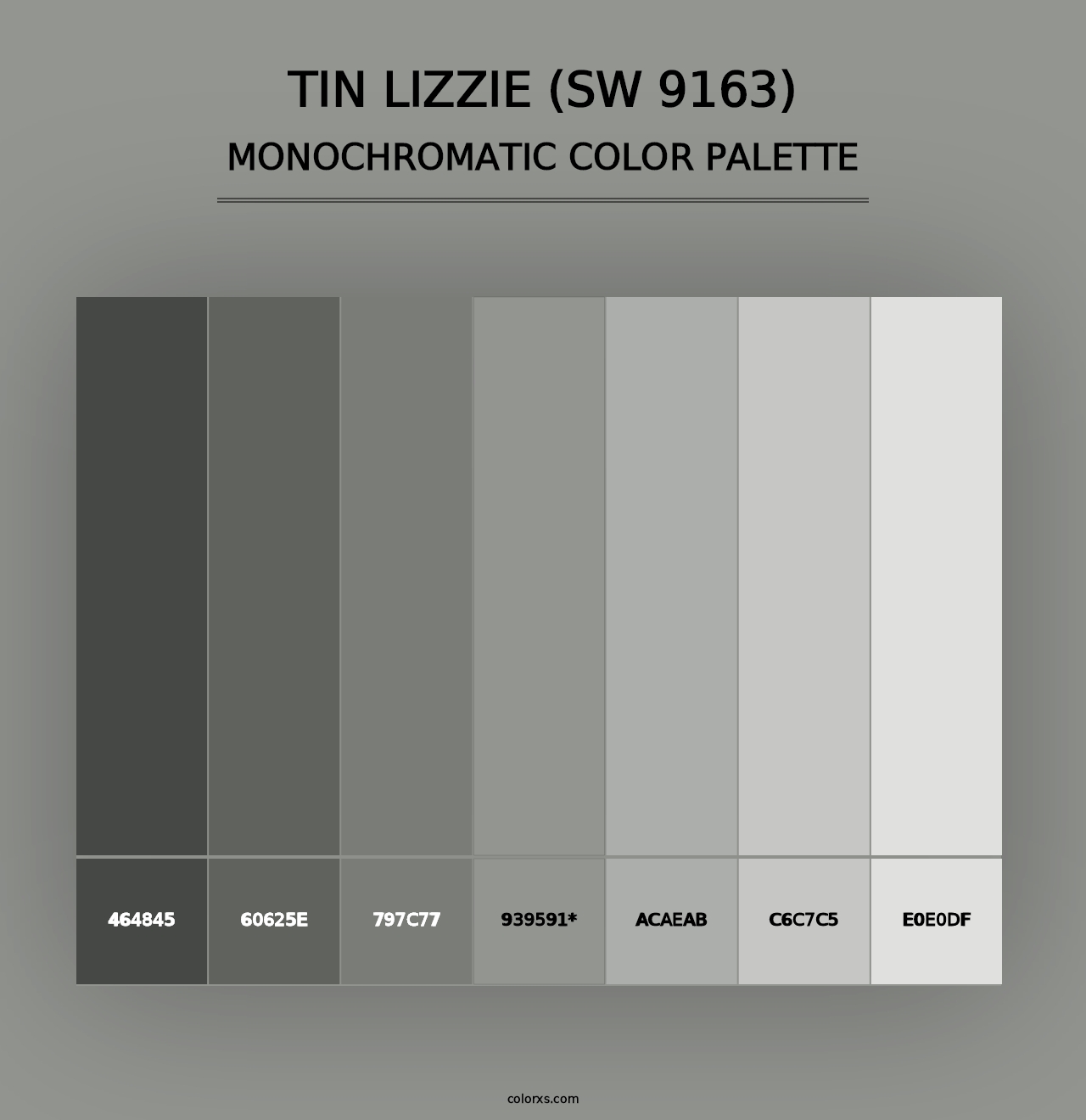 Tin Lizzie (SW 9163) - Monochromatic Color Palette