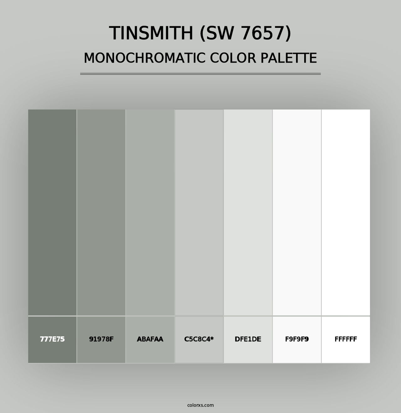 Tinsmith (SW 7657) - Monochromatic Color Palette