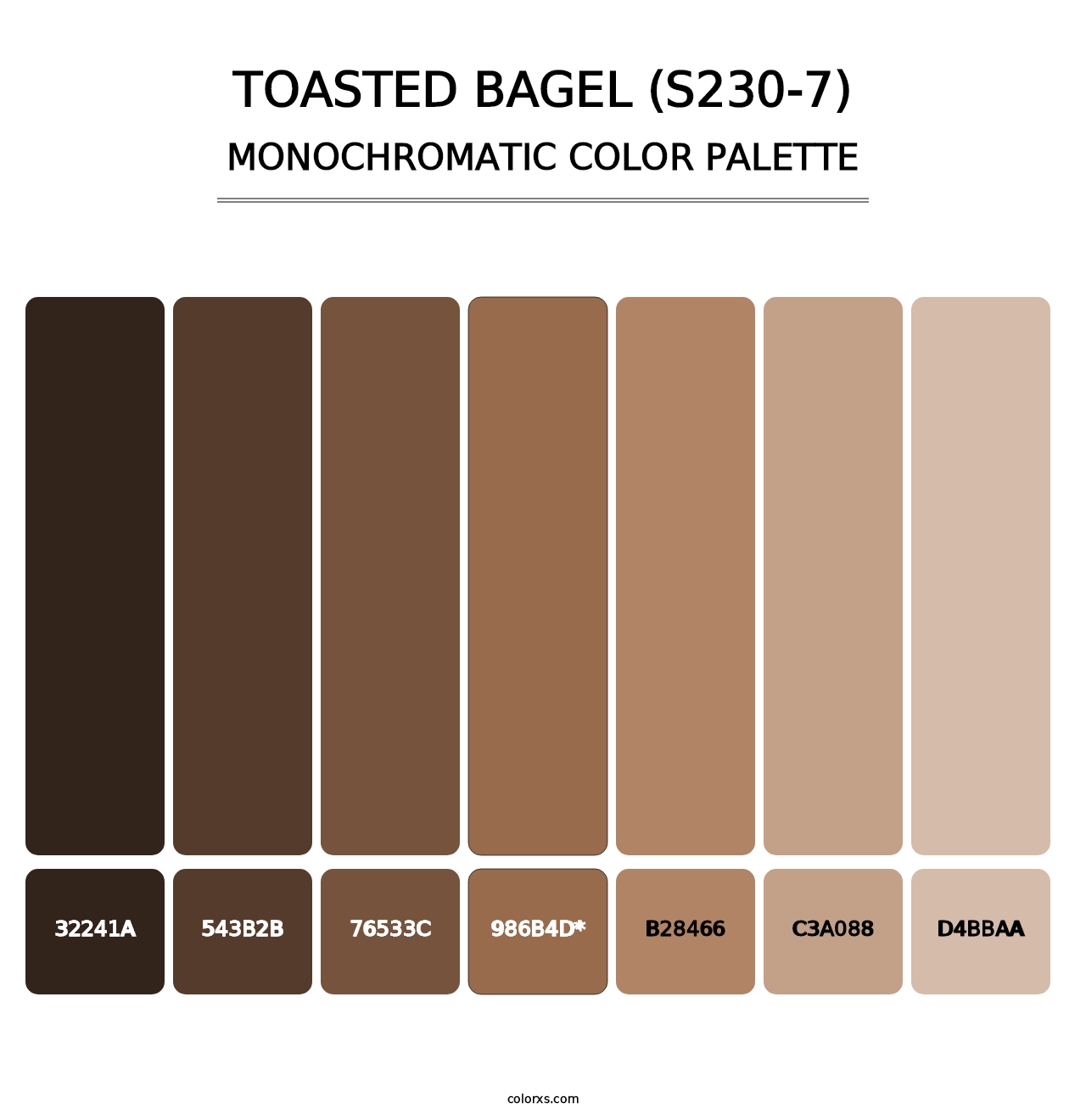 Toasted Bagel (S230-7) - Monochromatic Color Palette