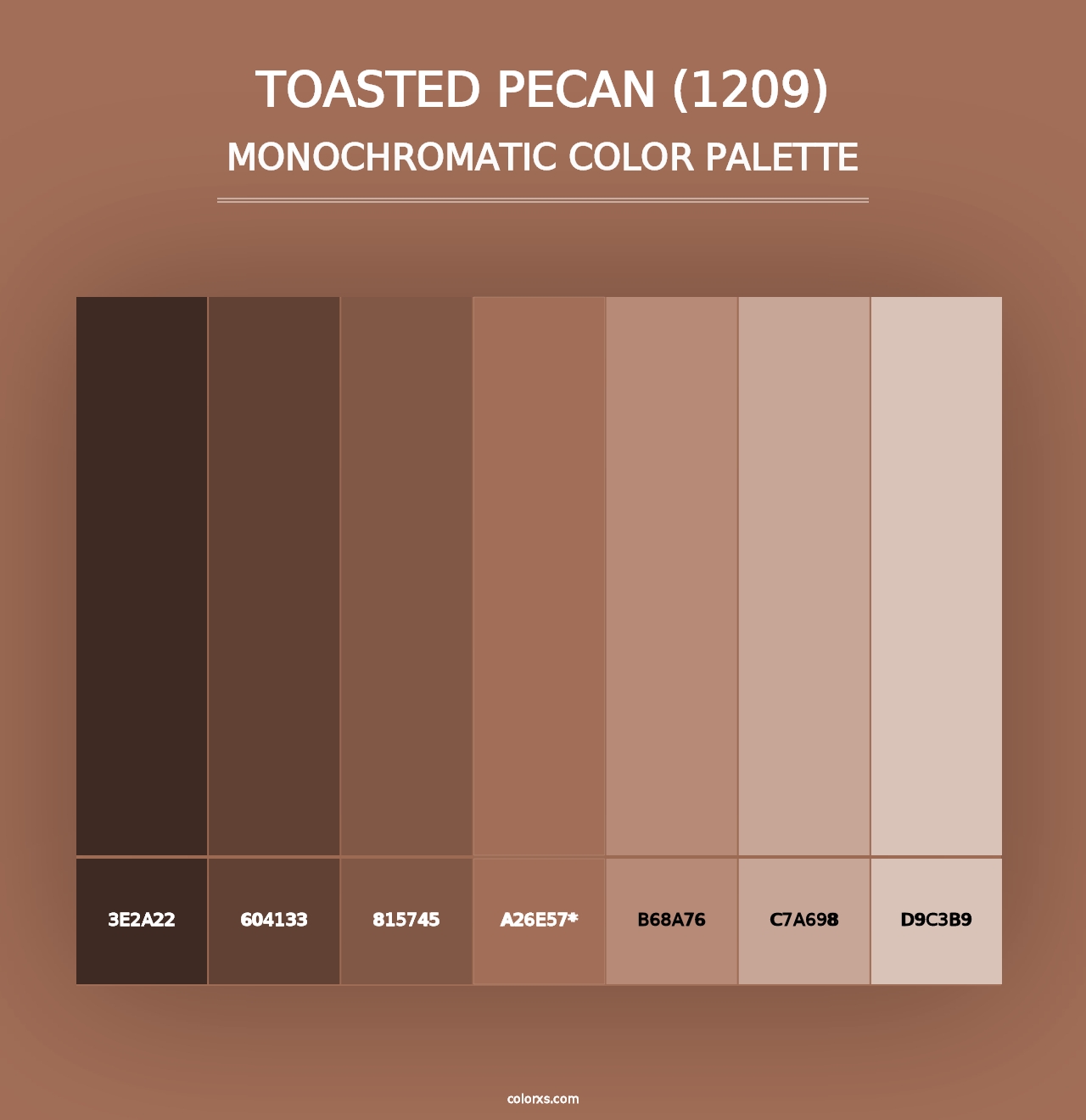 Toasted Pecan (1209) - Monochromatic Color Palette