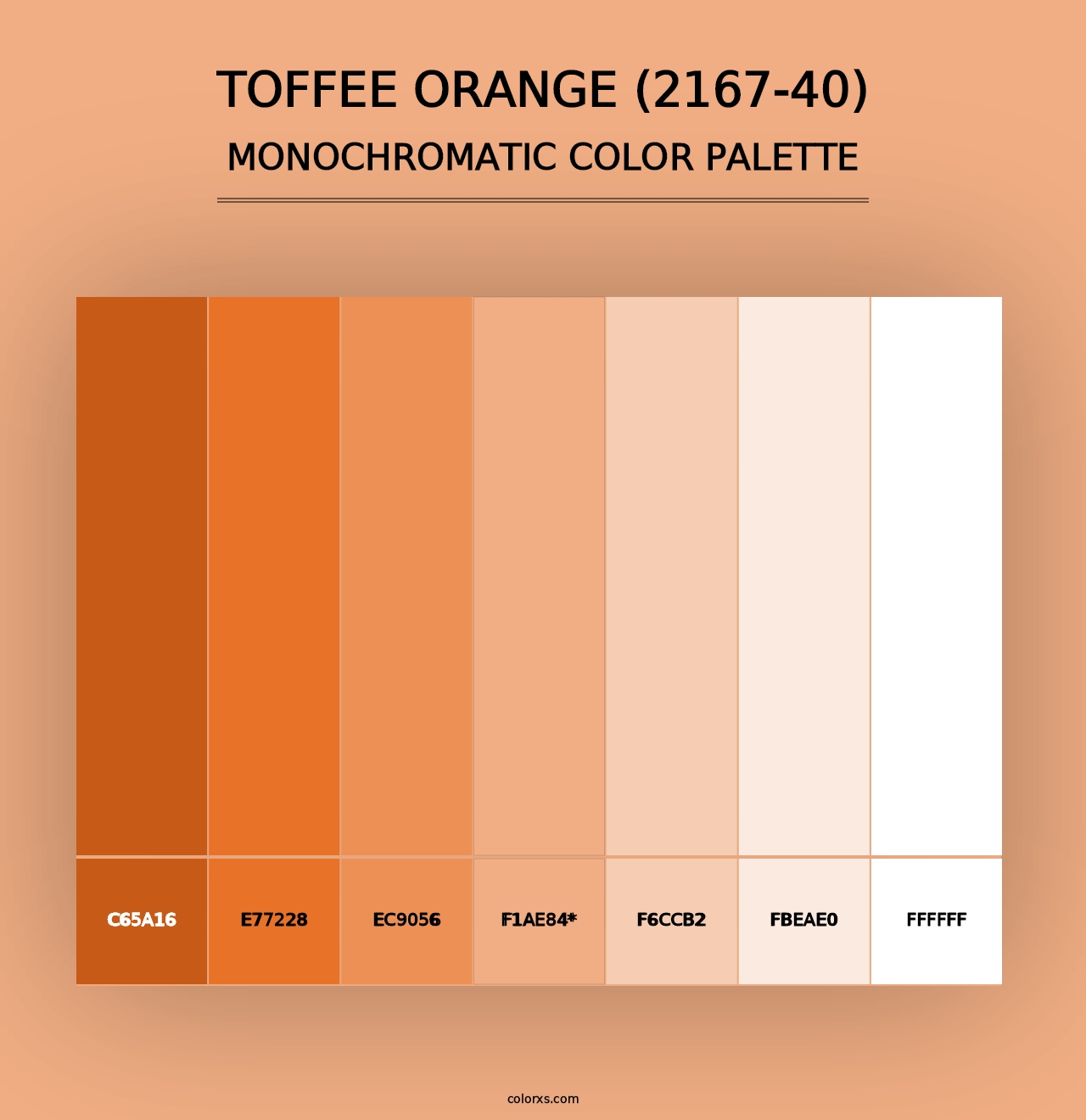 Toffee Orange (2167-40) - Monochromatic Color Palette