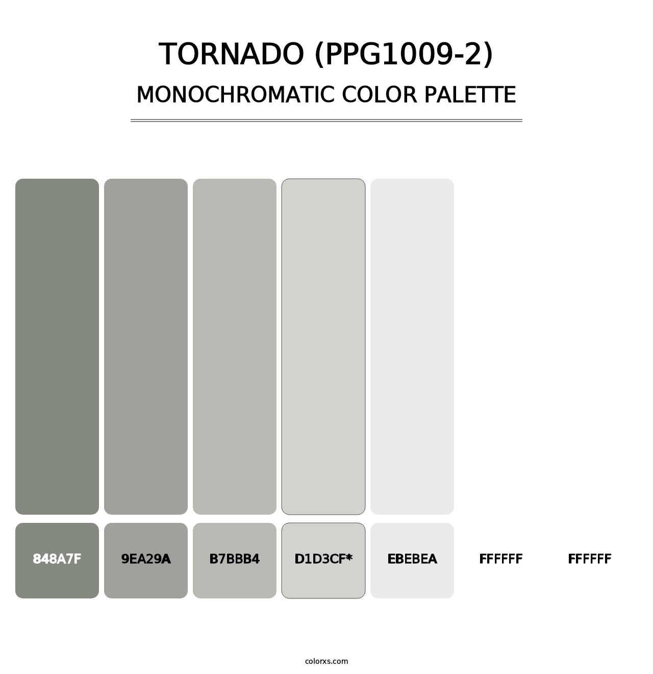 Tornado (PPG1009-2) - Monochromatic Color Palette