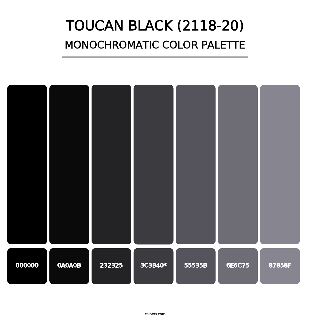 Toucan Black (2118-20) - Monochromatic Color Palette