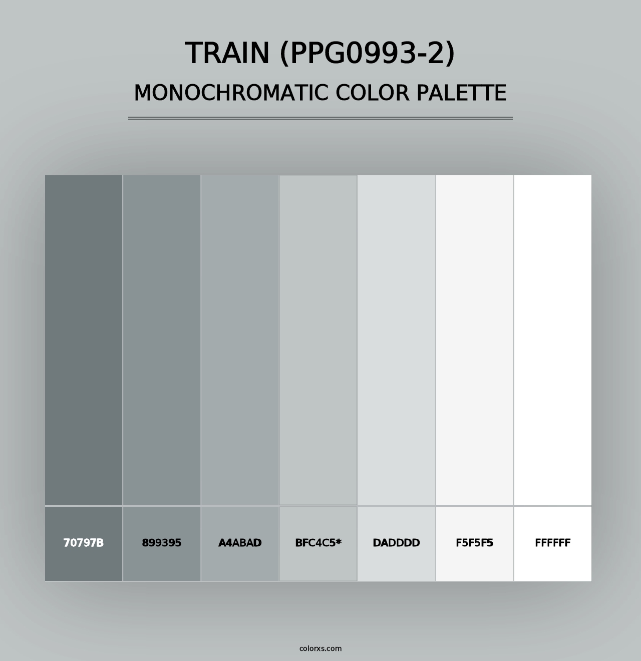 Train (PPG0993-2) - Monochromatic Color Palette