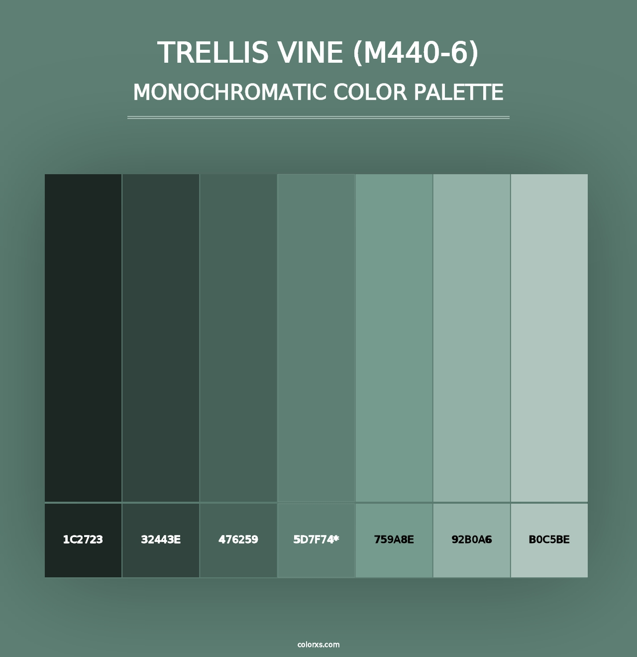 Trellis Vine (M440-6) - Monochromatic Color Palette