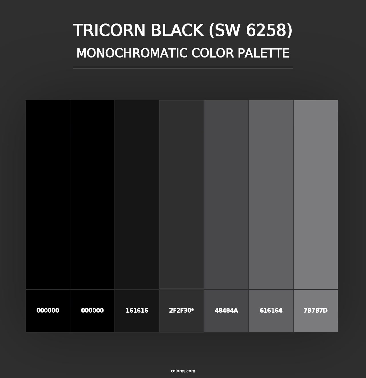 Tricorn Black (SW 6258) - Monochromatic Color Palette