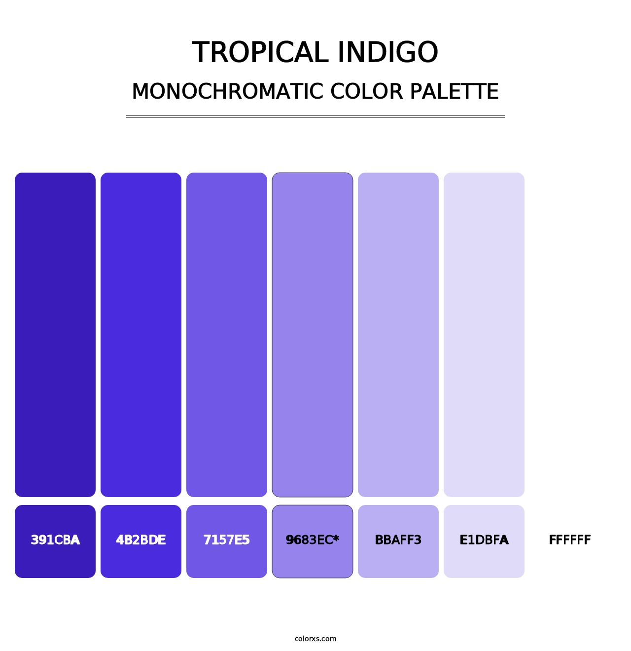 Tropical Indigo - Monochromatic Color Palette