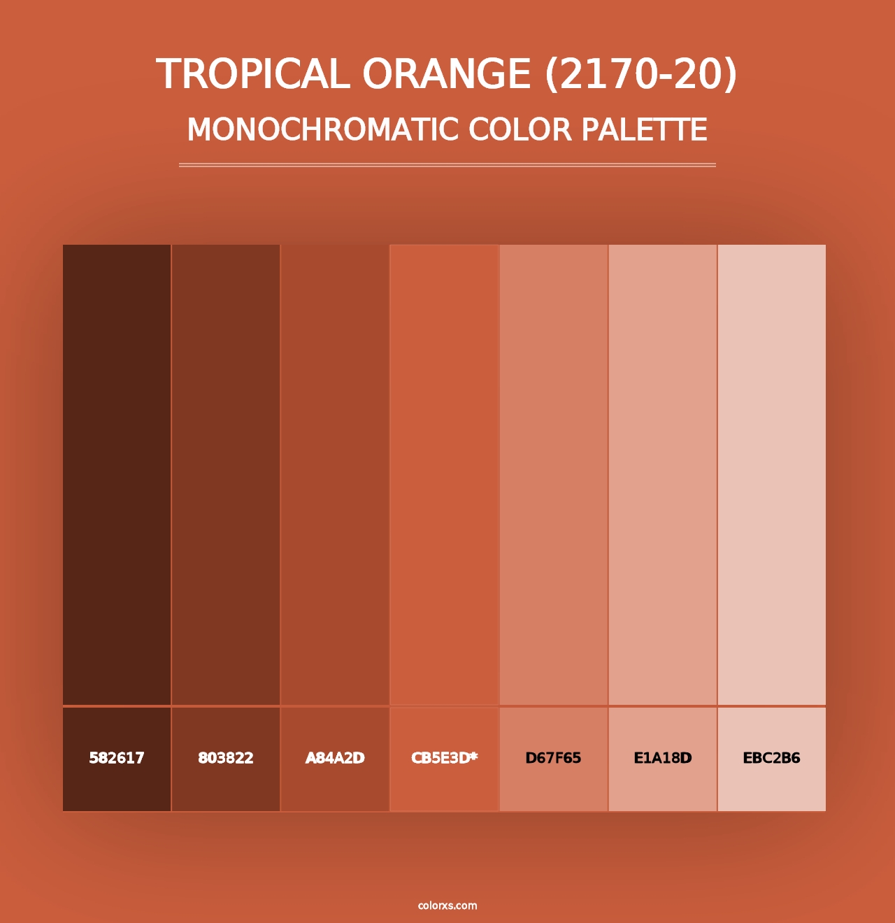 Tropical Orange (2170-20) - Monochromatic Color Palette