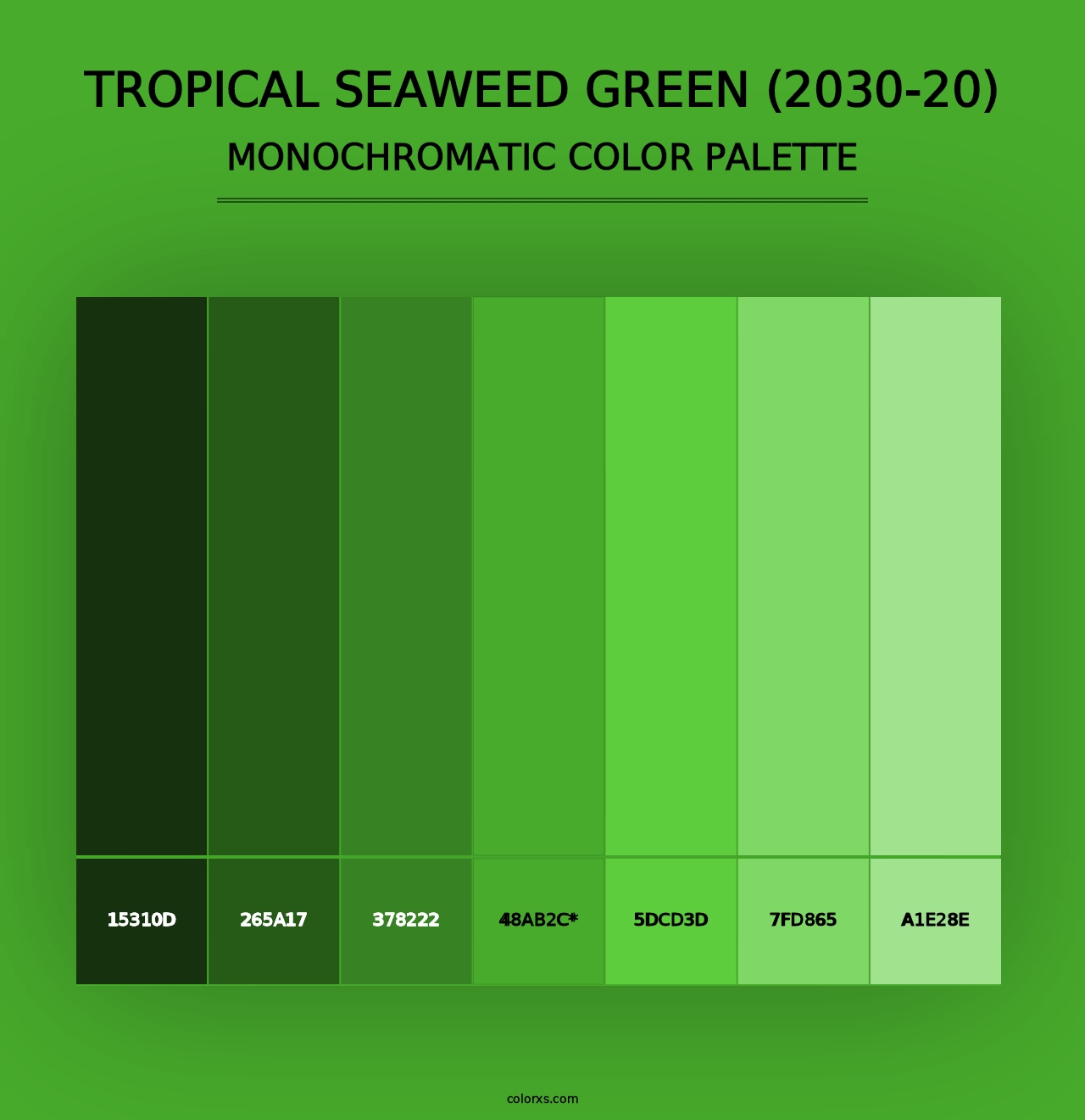 Tropical Seaweed Green (2030-20) - Monochromatic Color Palette