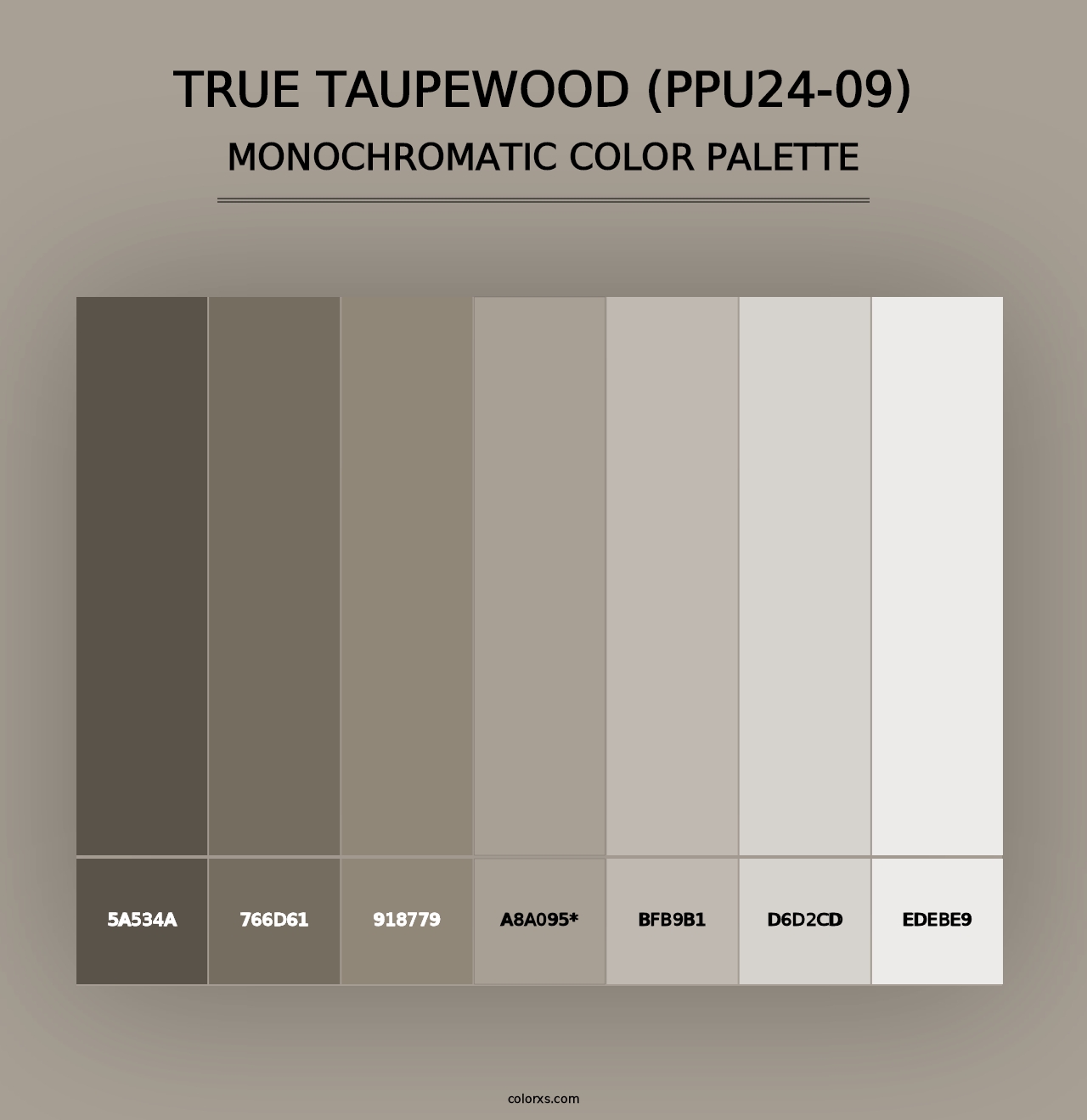 True Taupewood (PPU24-09) - Monochromatic Color Palette