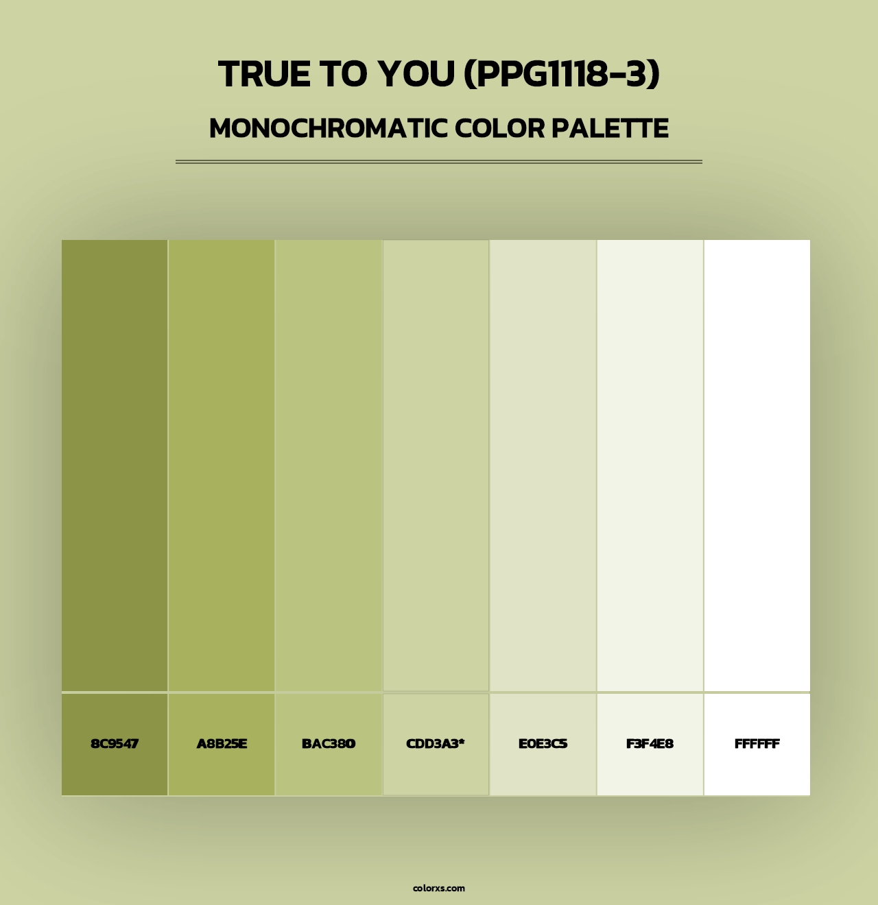 True To You (PPG1118-3) - Monochromatic Color Palette