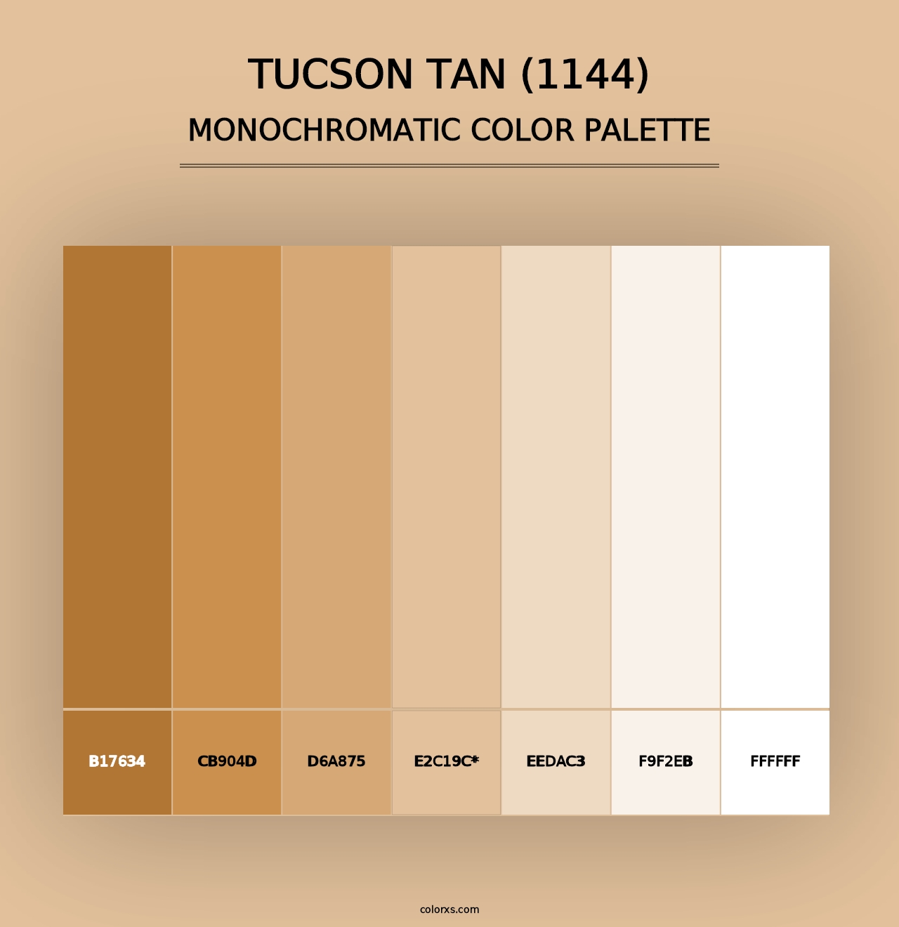 Tucson Tan (1144) - Monochromatic Color Palette