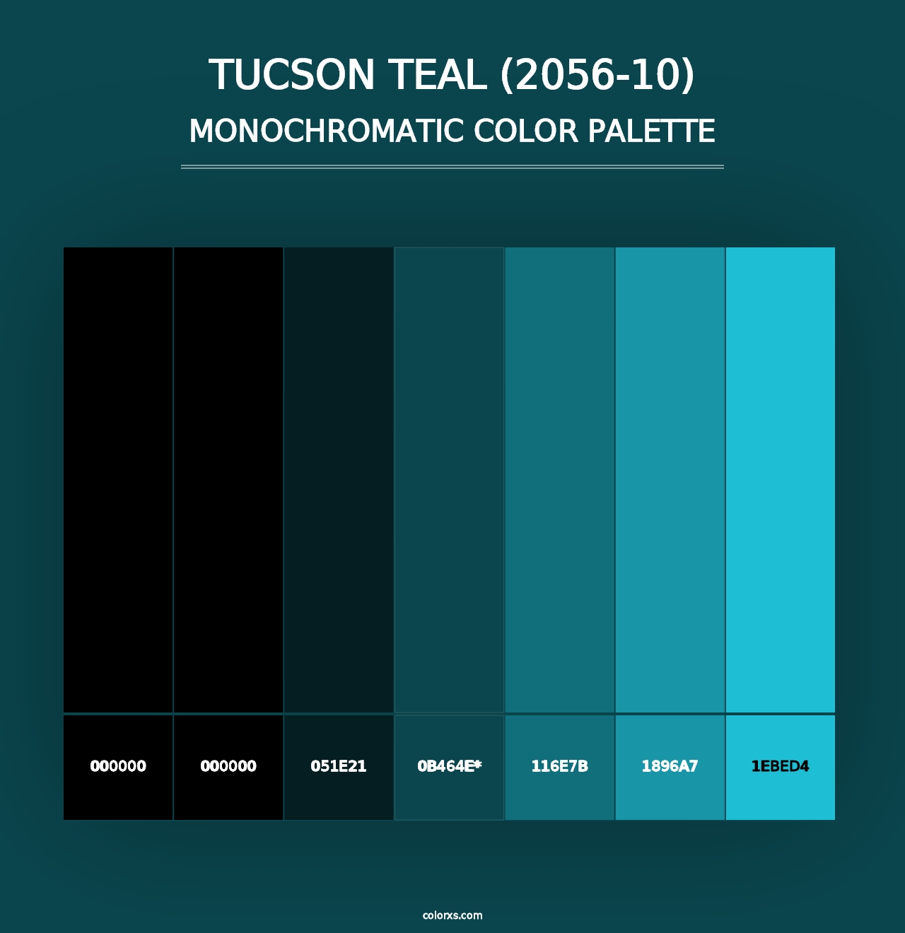 Tucson Teal (2056-10) - Monochromatic Color Palette