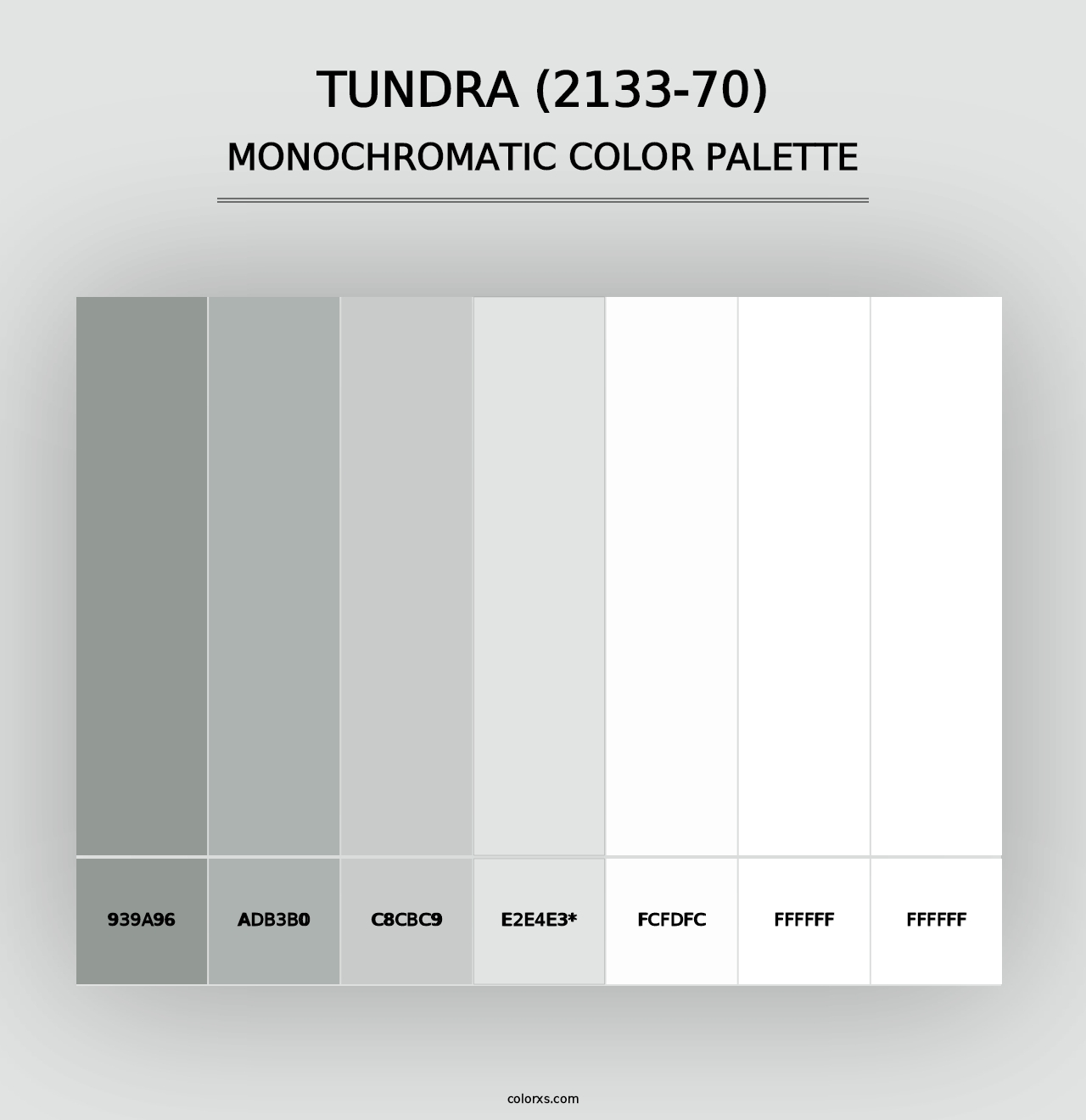 Tundra (2133-70) - Monochromatic Color Palette