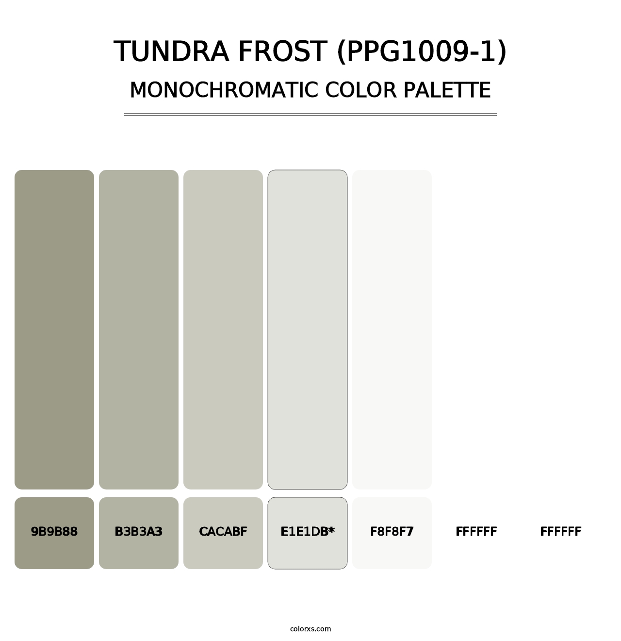 Tundra Frost (PPG1009-1) - Monochromatic Color Palette