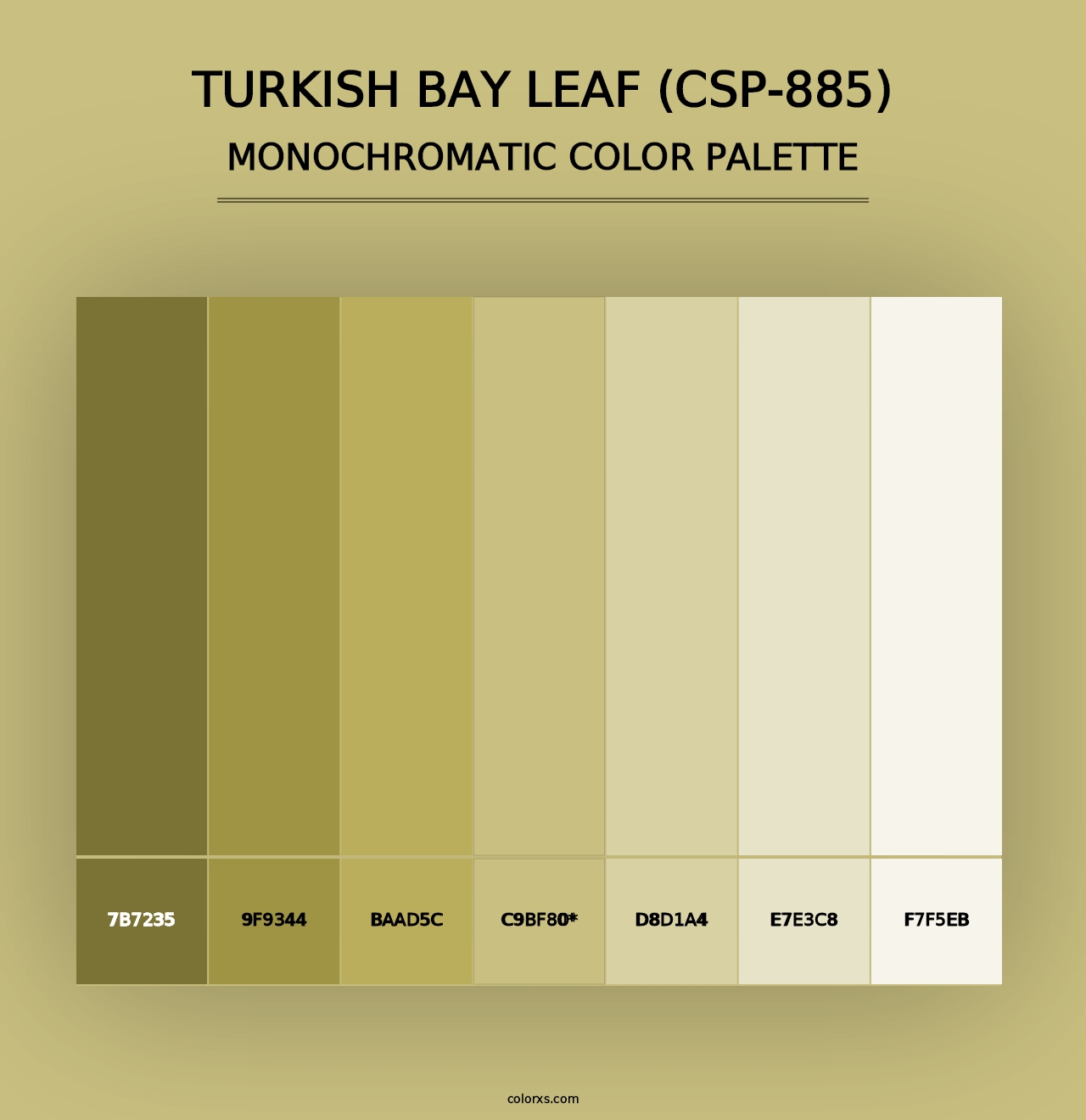 Turkish Bay Leaf (CSP-885) - Monochromatic Color Palette