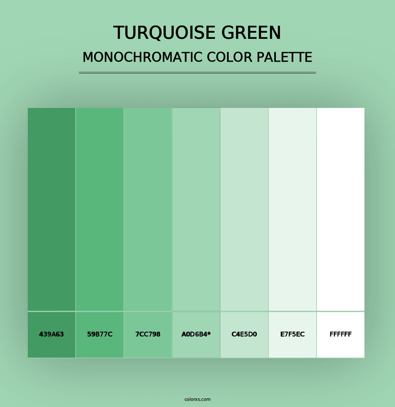 Turquoise Green - Monochromatic Color Palette