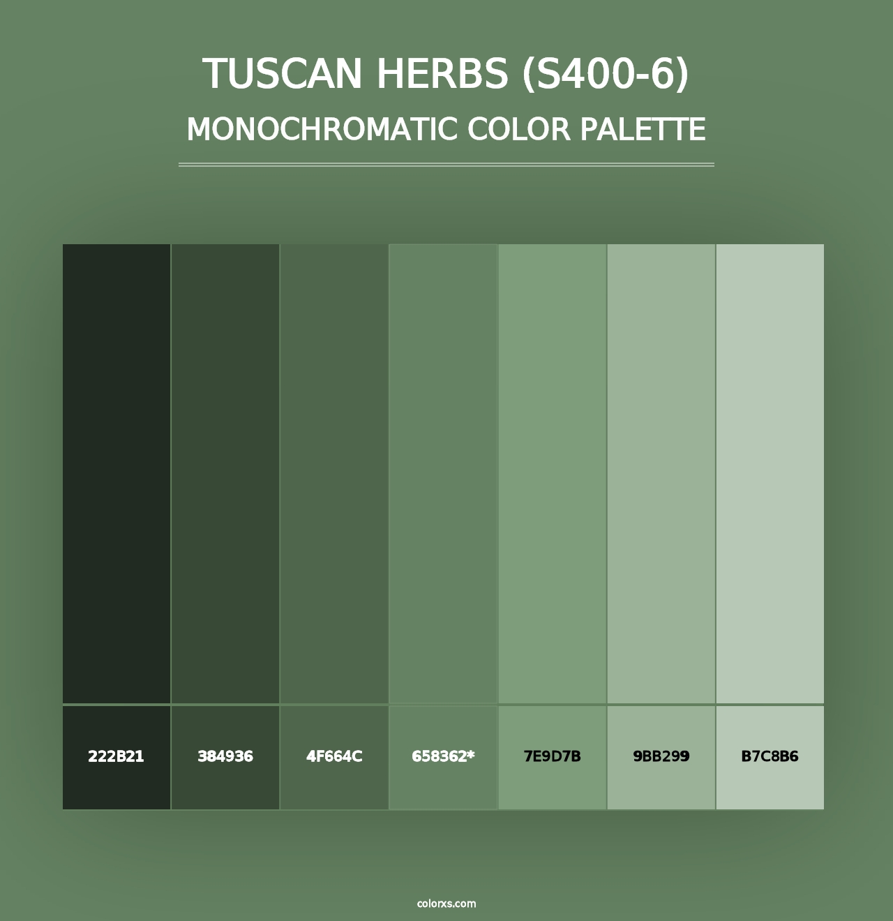 Tuscan Herbs (S400-6) - Monochromatic Color Palette