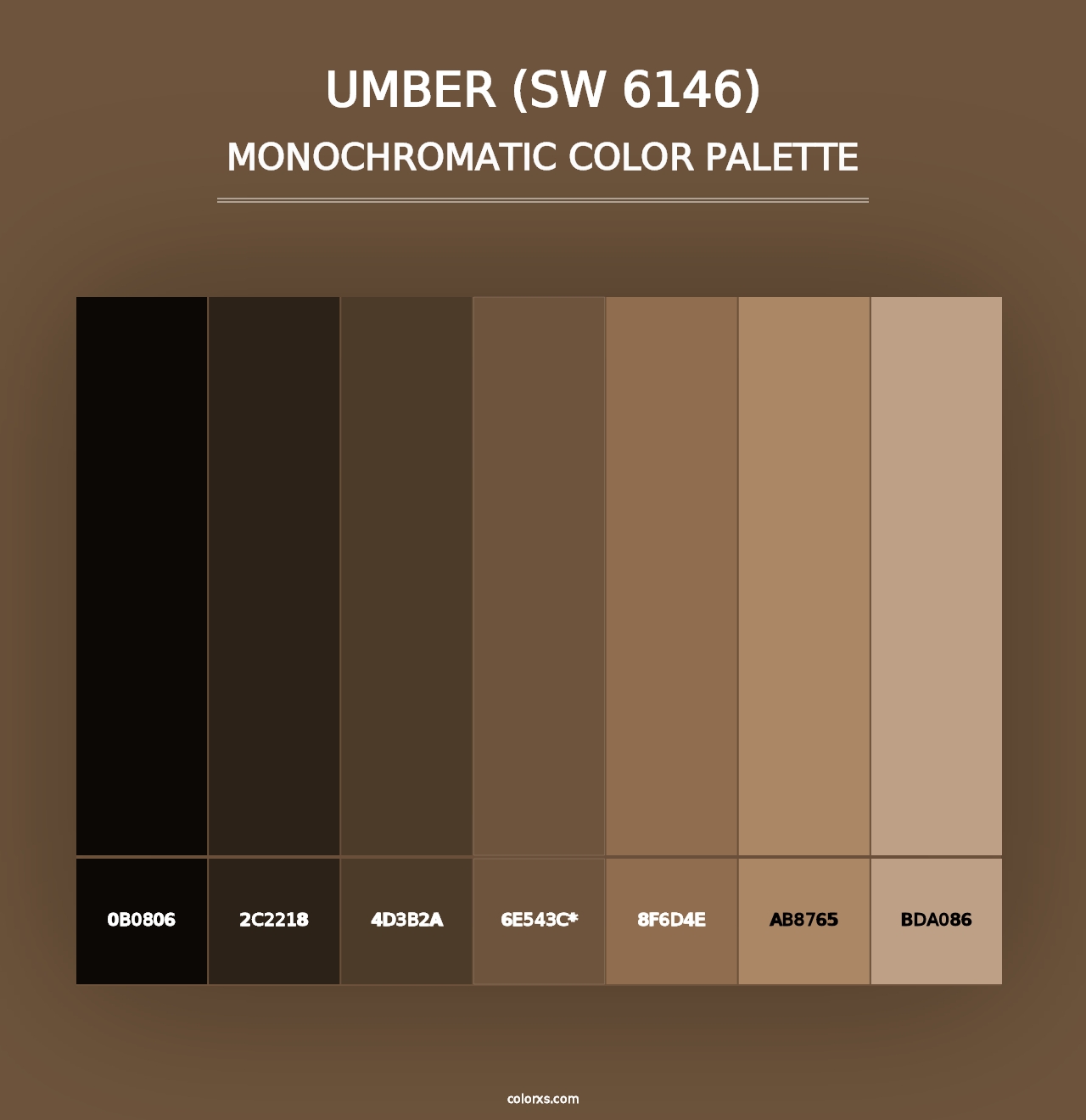 Umber (SW 6146) - Monochromatic Color Palette