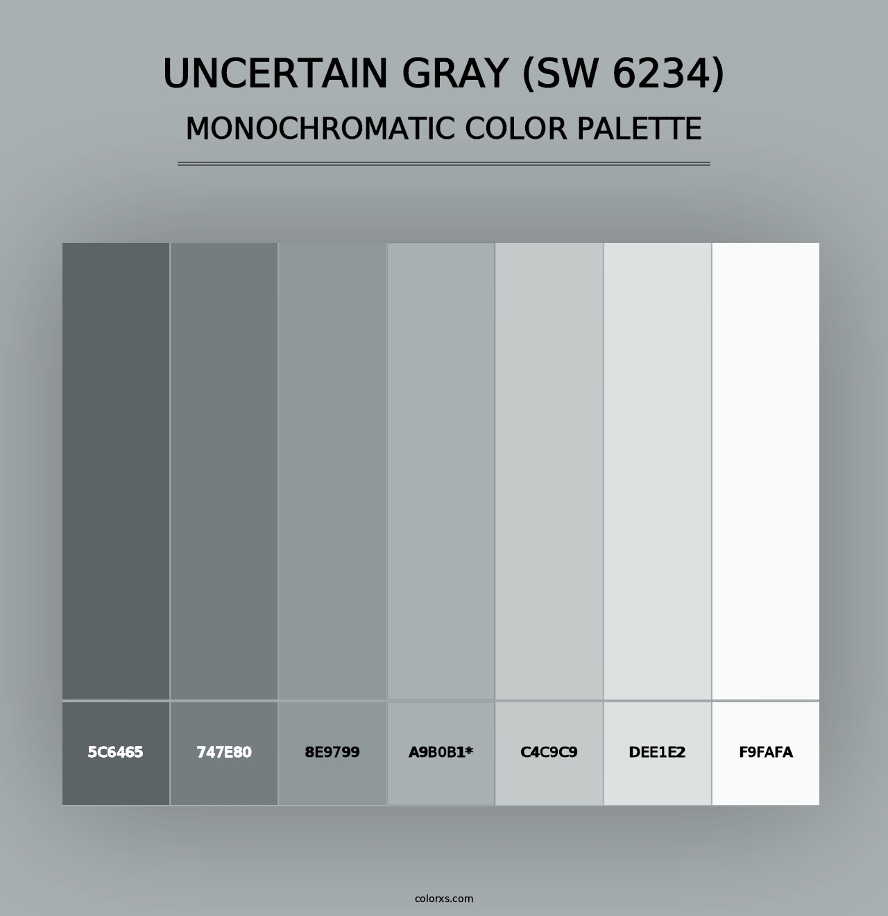 Uncertain Gray (SW 6234) - Monochromatic Color Palette