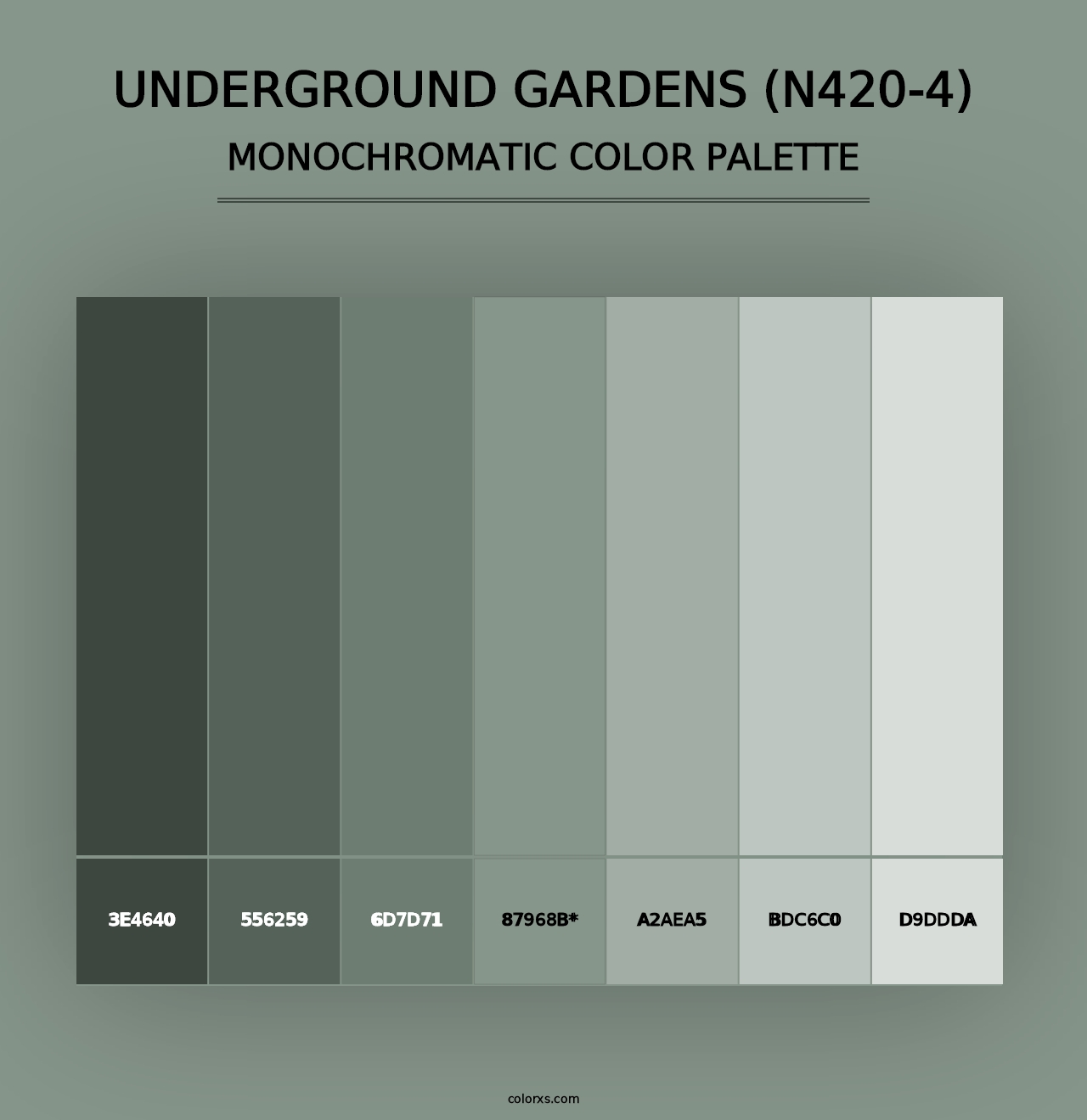 Underground Gardens (N420-4) - Monochromatic Color Palette