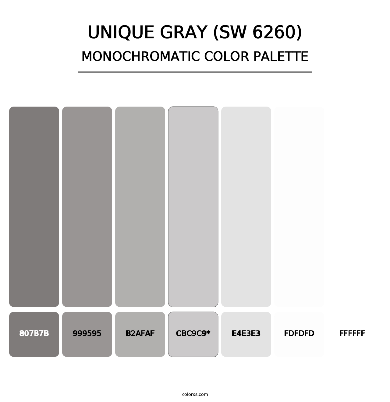 Unique Gray (SW 6260) - Monochromatic Color Palette