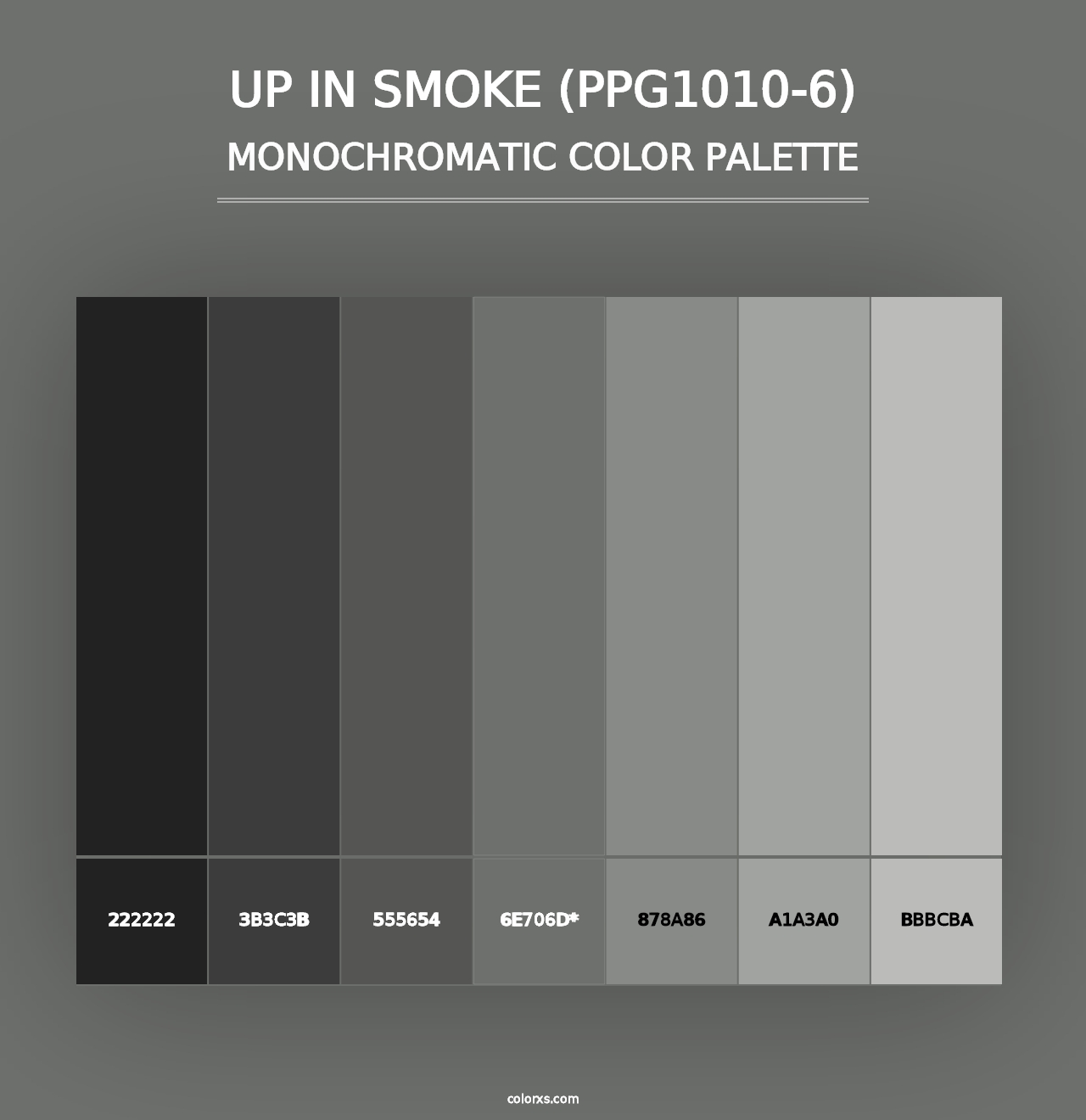 Up In Smoke (PPG1010-6) - Monochromatic Color Palette