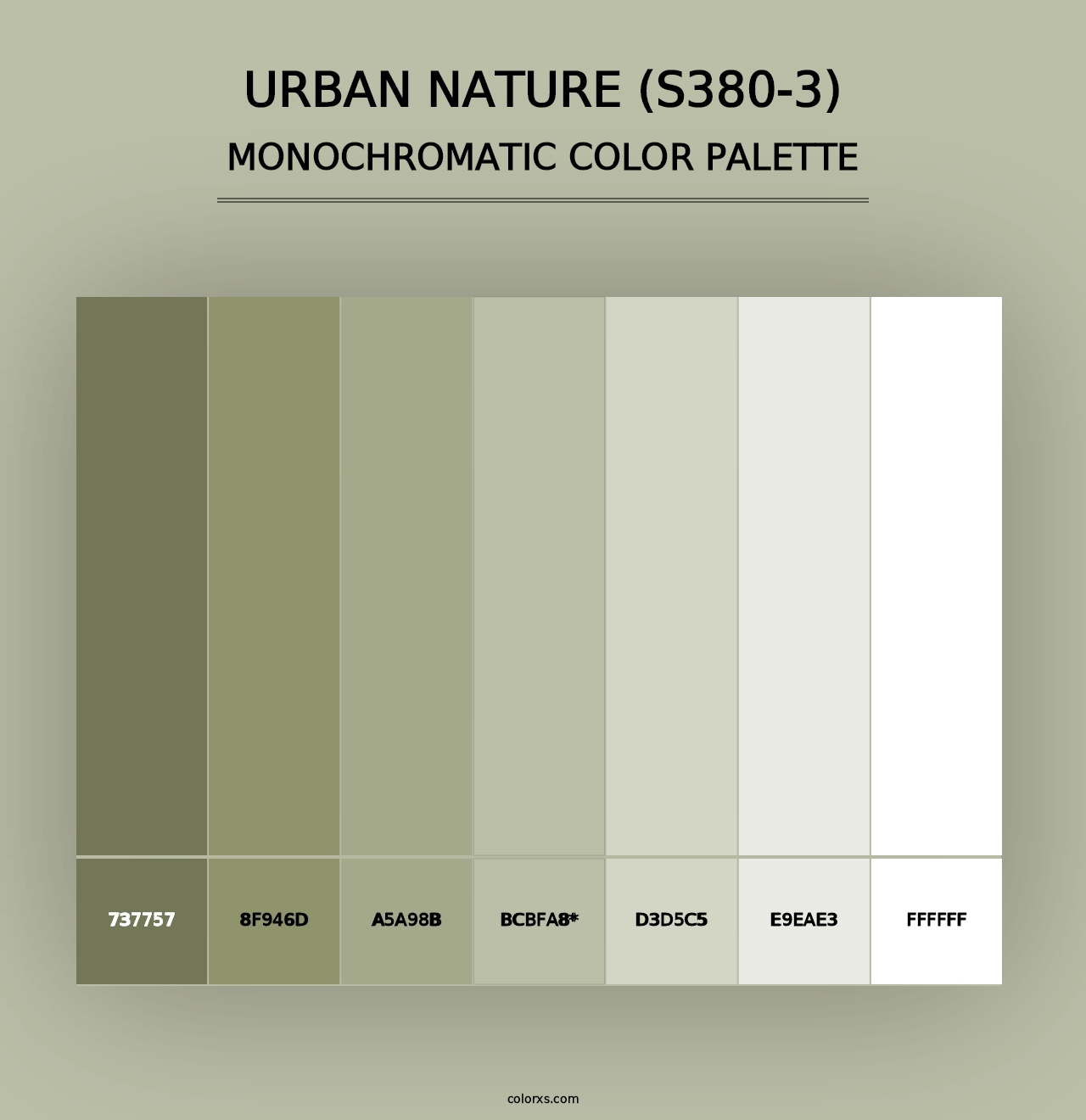 Urban Nature (S380-3) - Monochromatic Color Palette