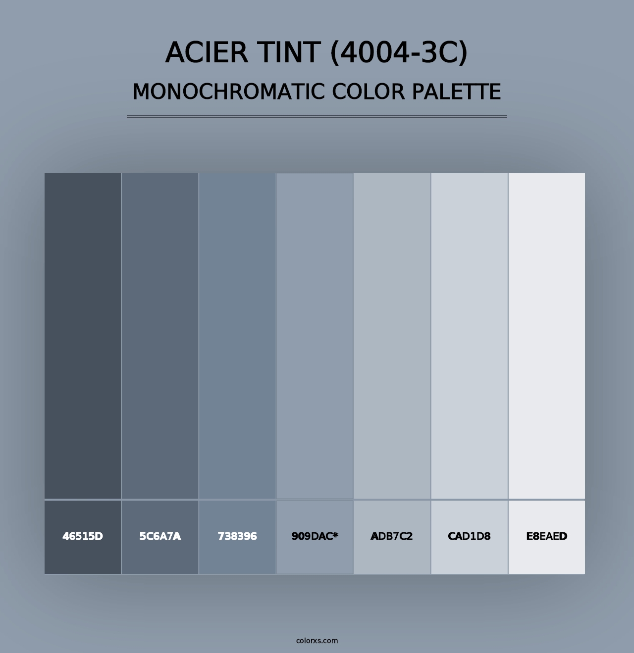 Acier Tint (4004-3C) - Monochromatic Color Palette